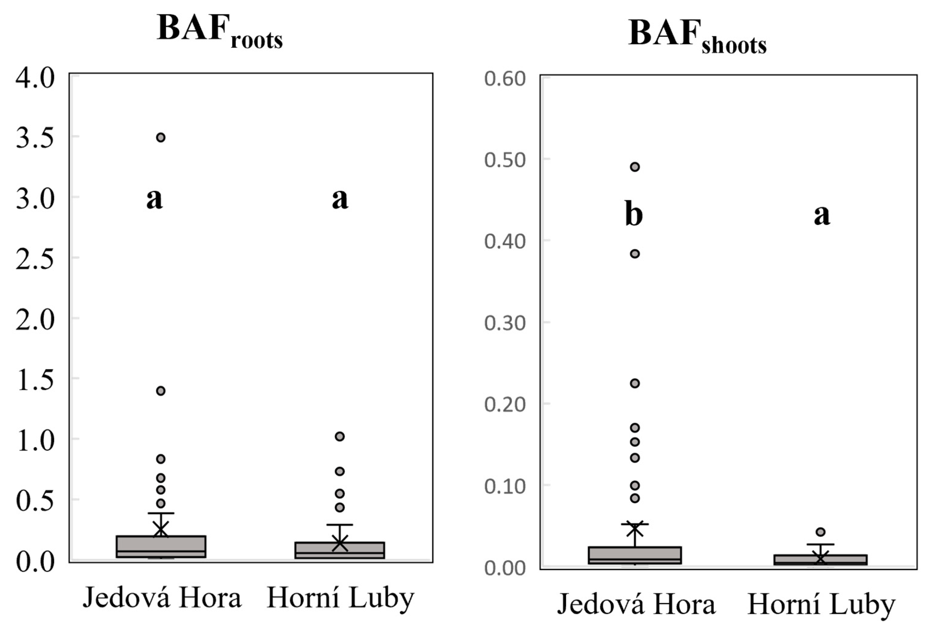 Minerals 14 01211 g004