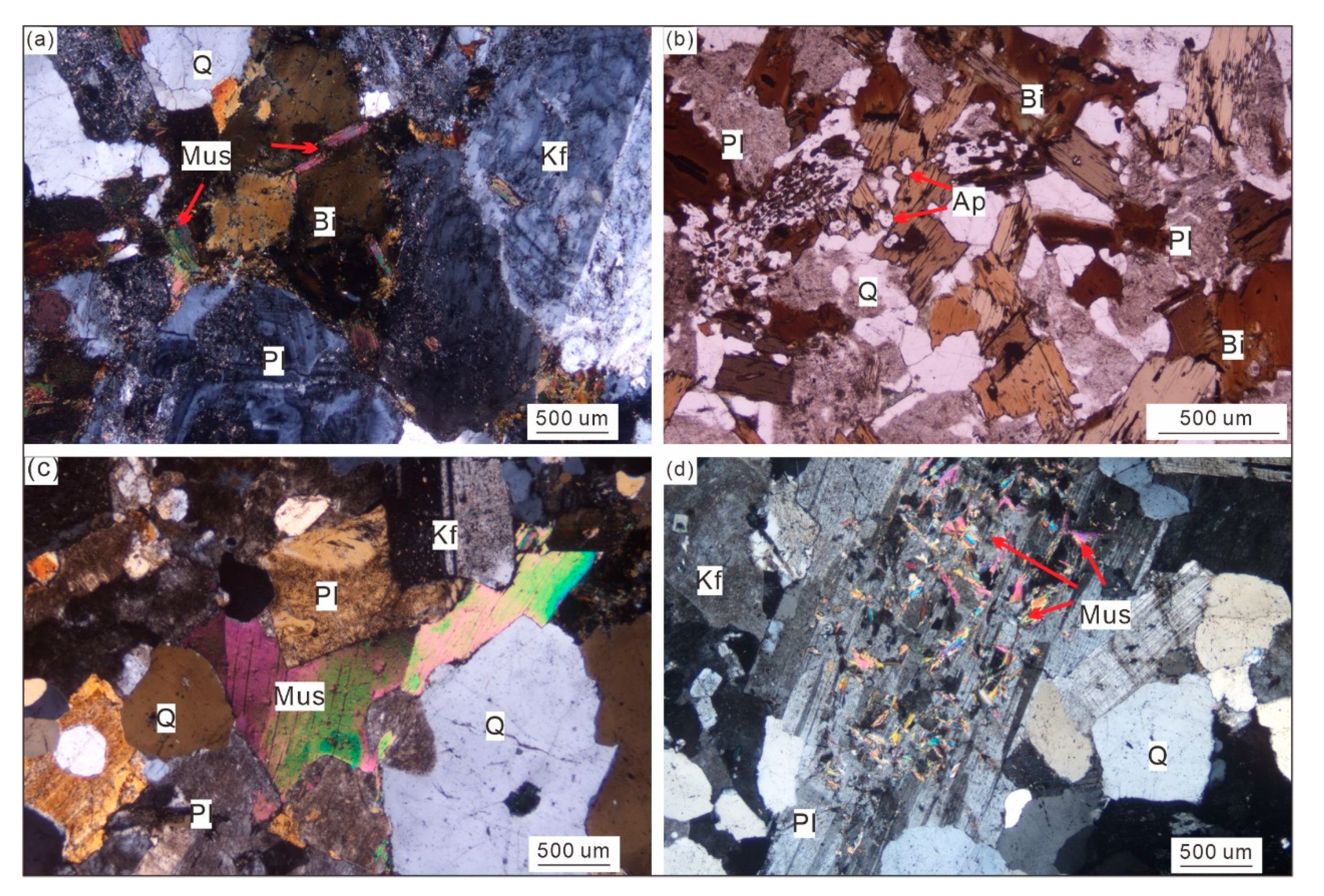 Minerals 14 01222 g002