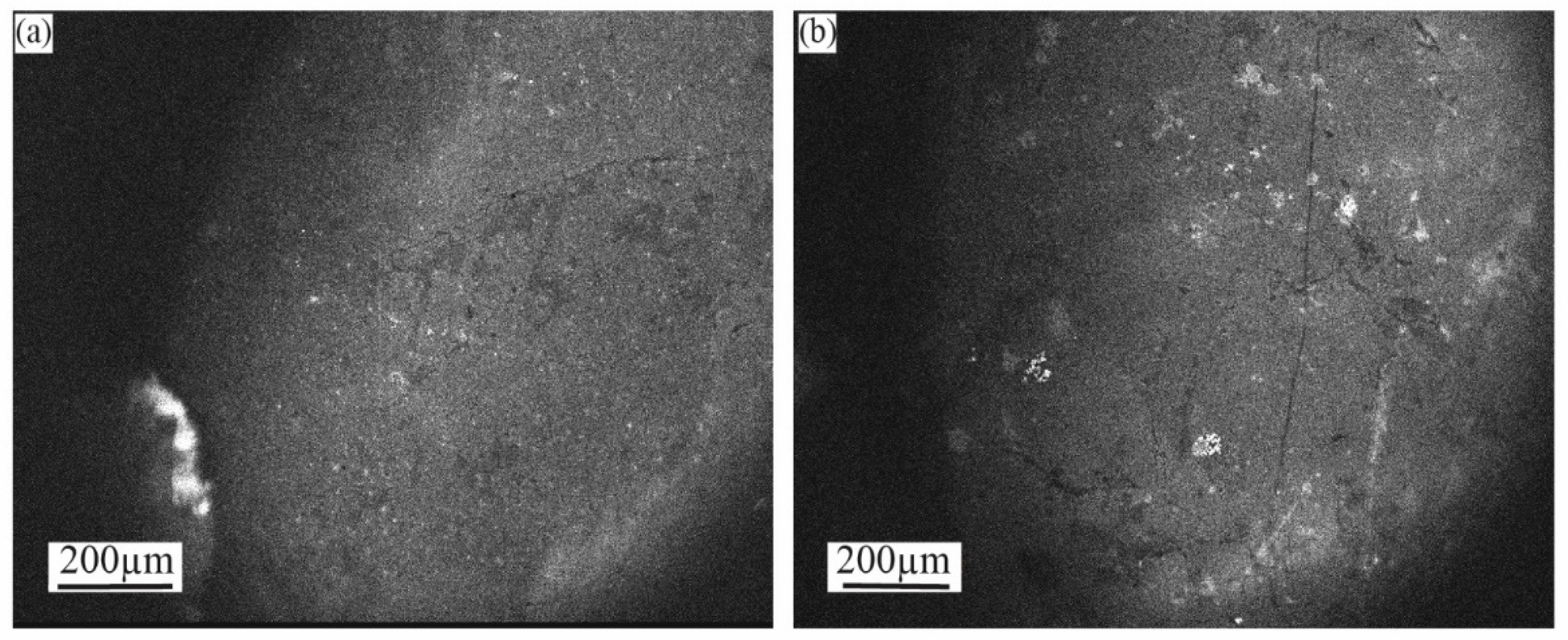Minerals 14 01225 g004