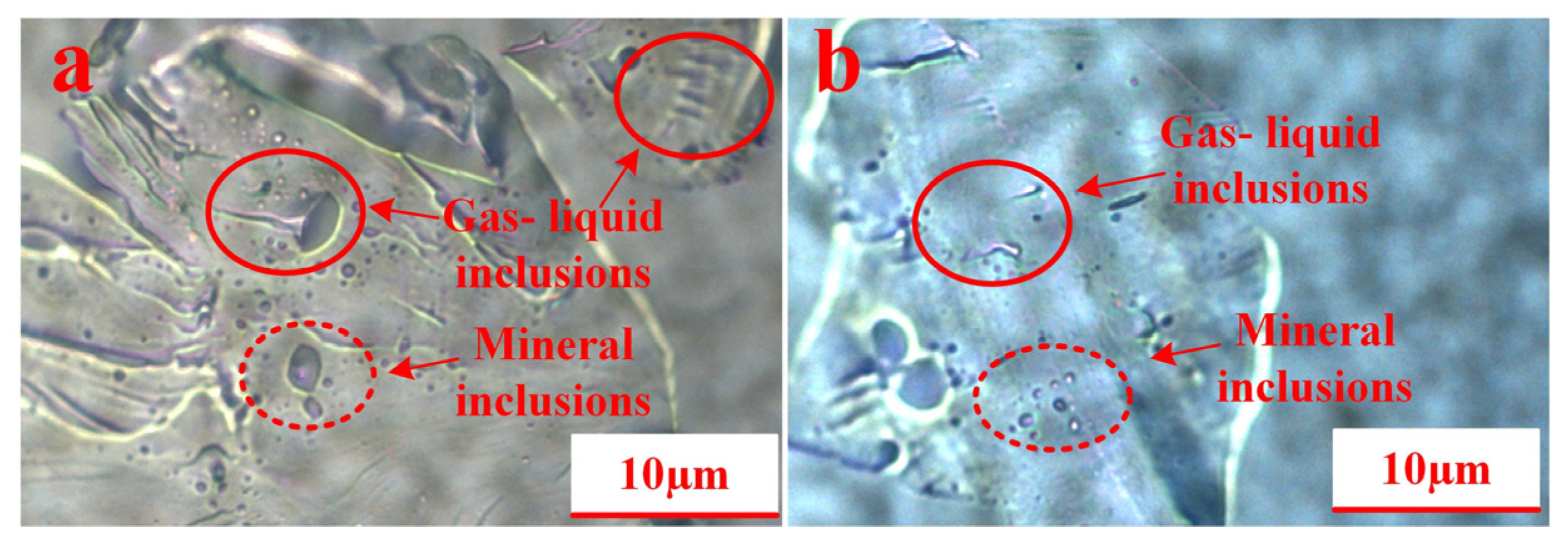 Minerals 14 01229 g005