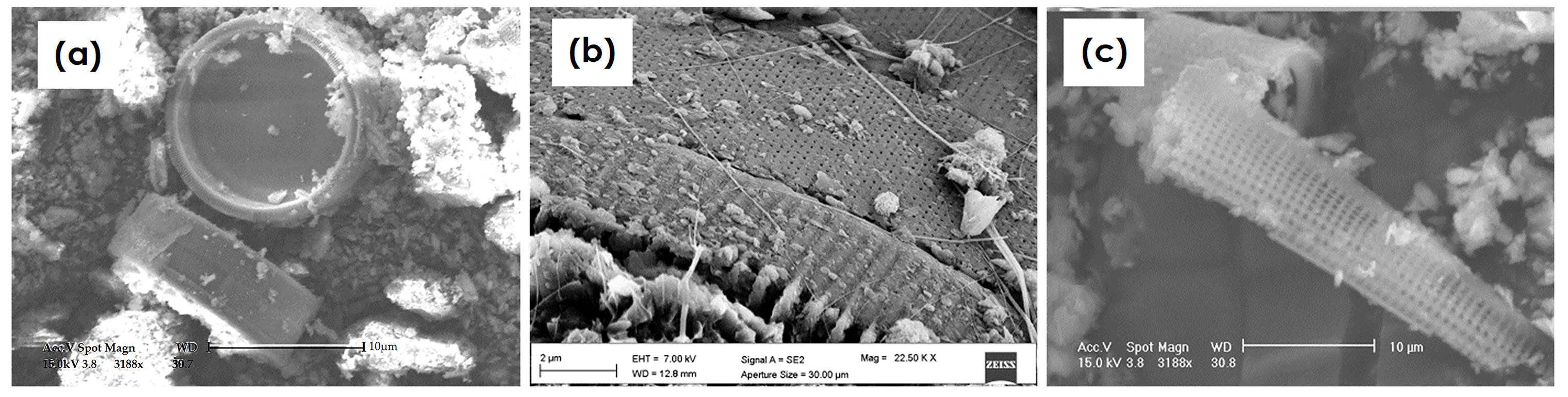 Minerals 14 01273 g004