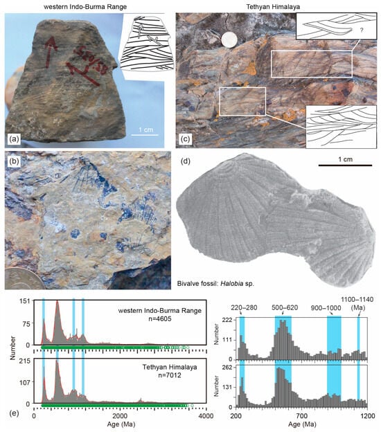 Minerals 14 01290 g009