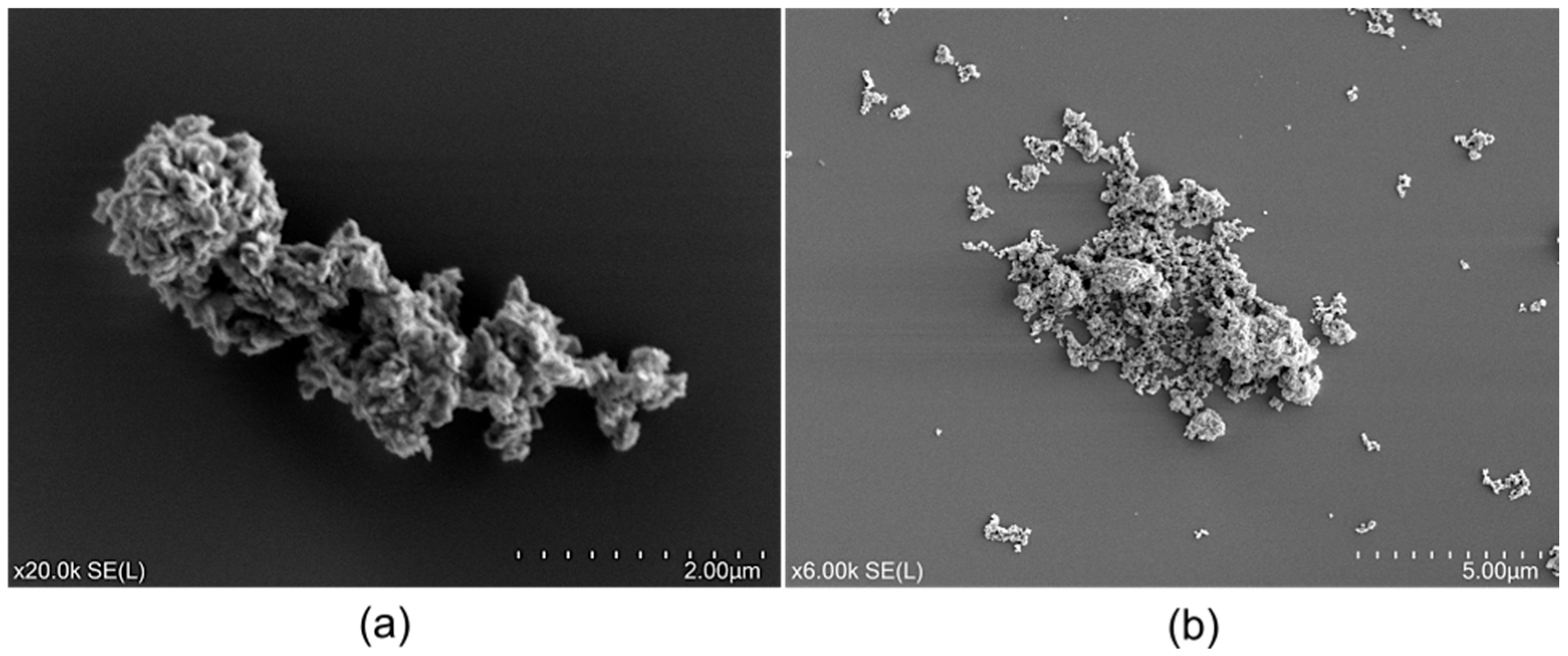 Minerals 15 00023 g007
