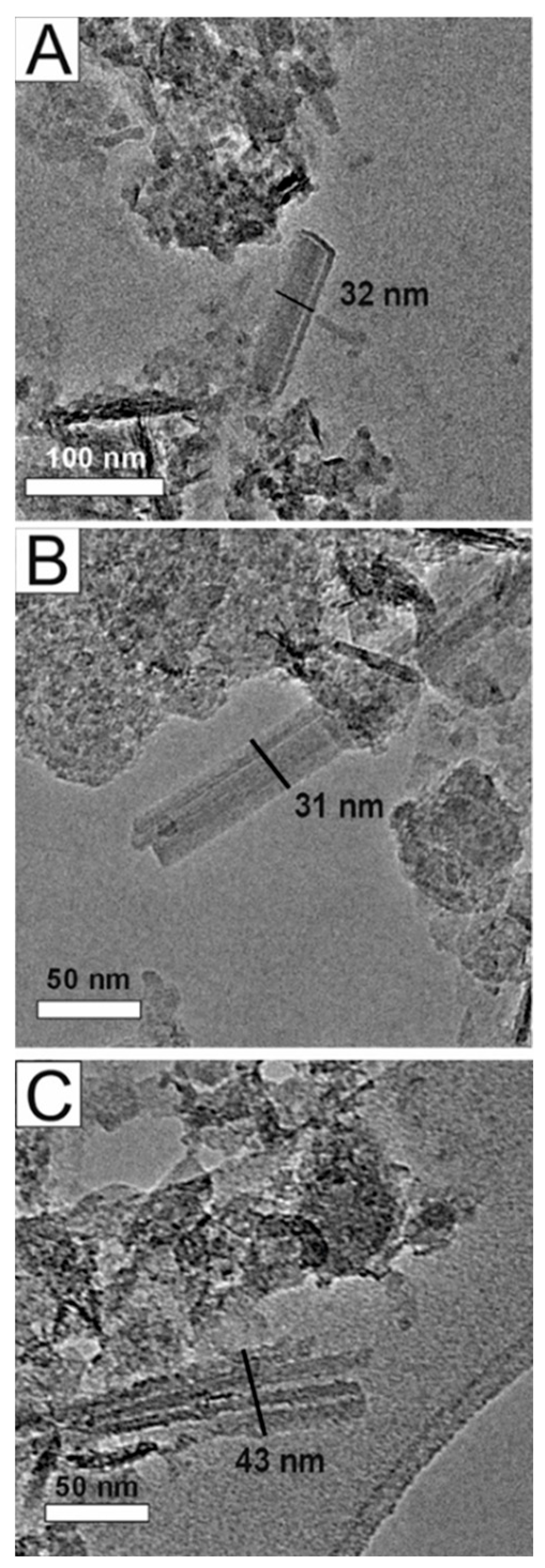 Minerals 15 00050 g010