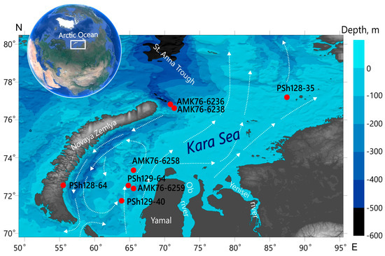 Minerals 15 00064 g001