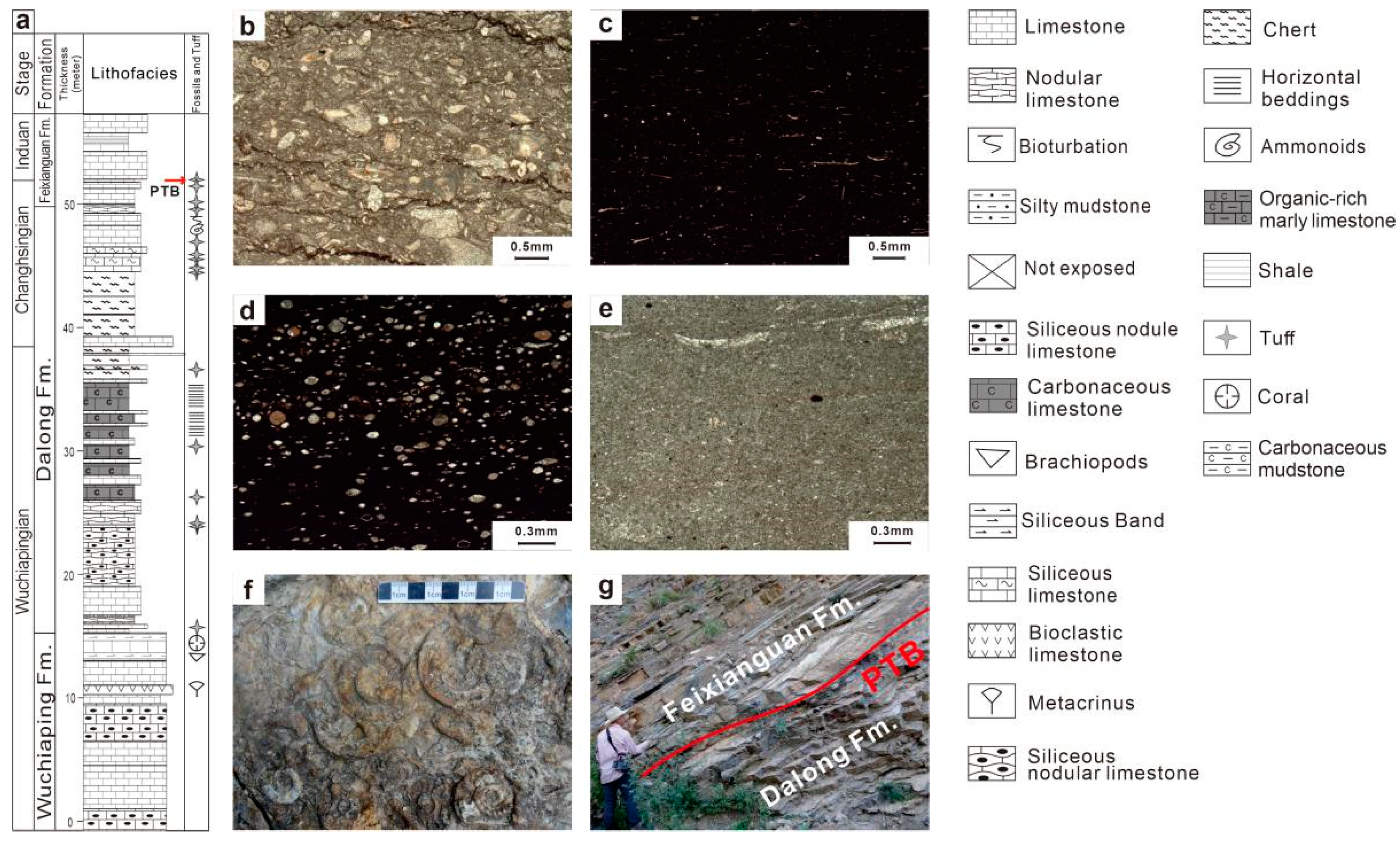 Minerals 15 00069 g002