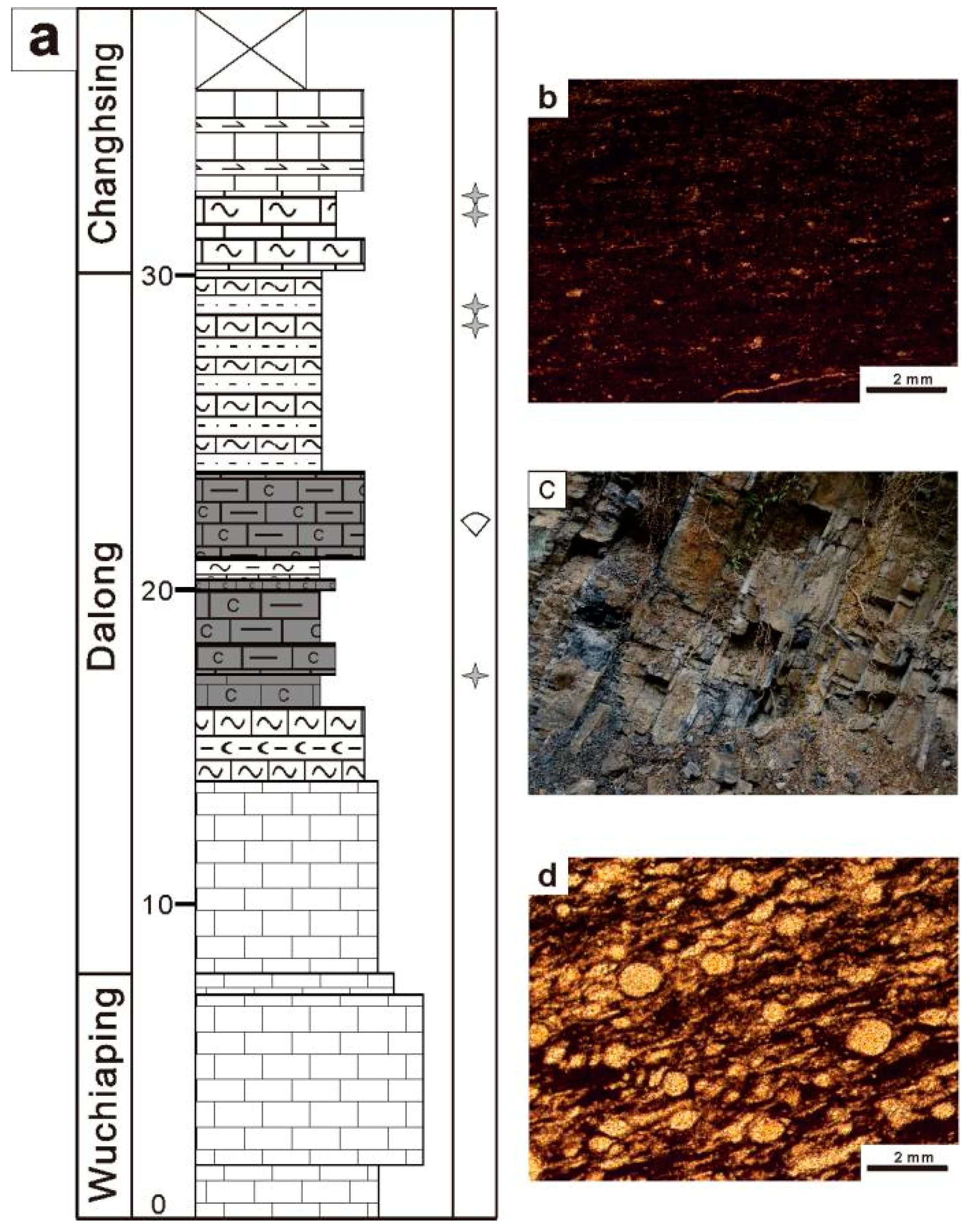 Minerals 15 00069 g003