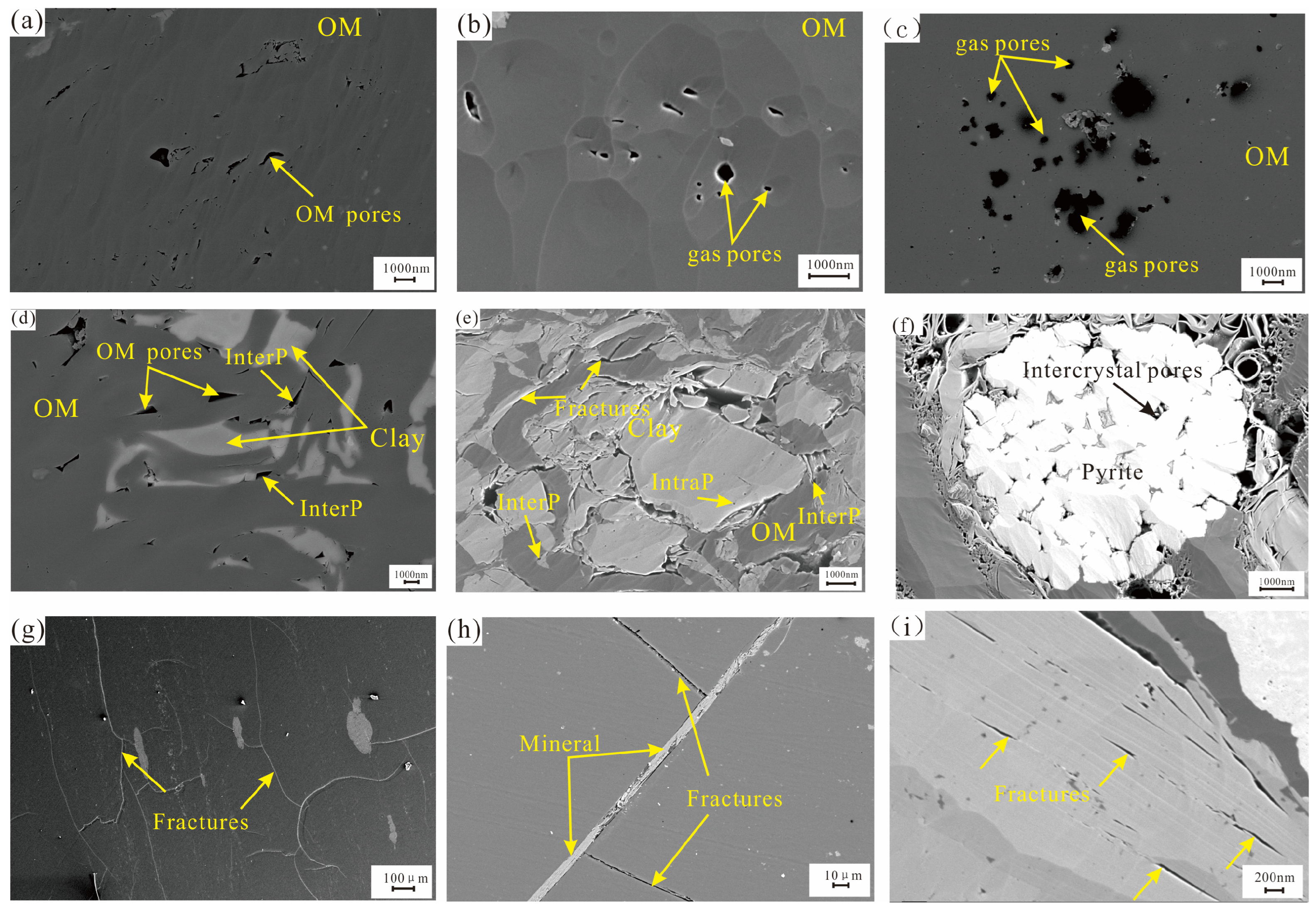 Minerals 15 00116 g004 Minerals 15 00116 g004