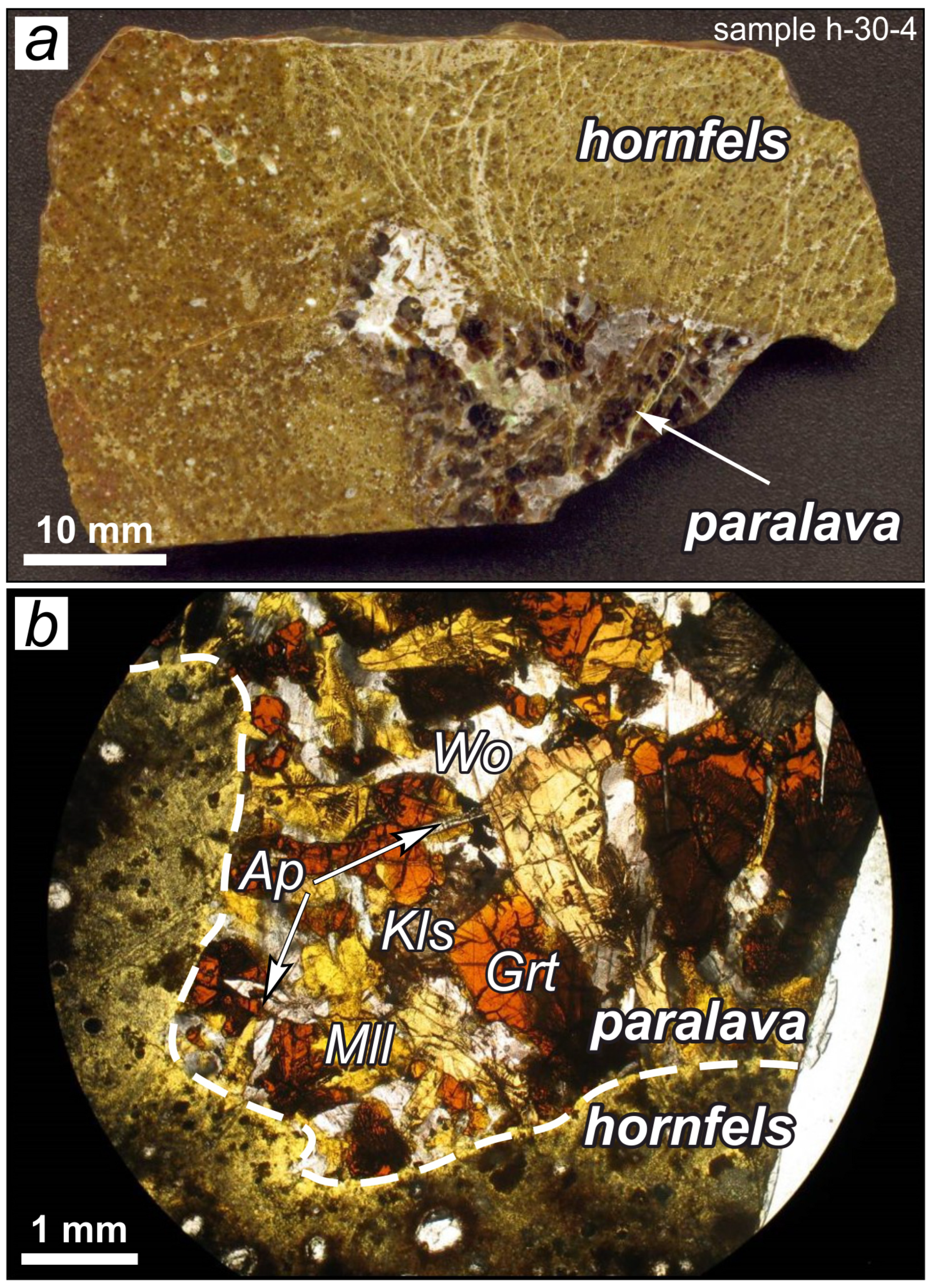 Minerals 15 00129 g001