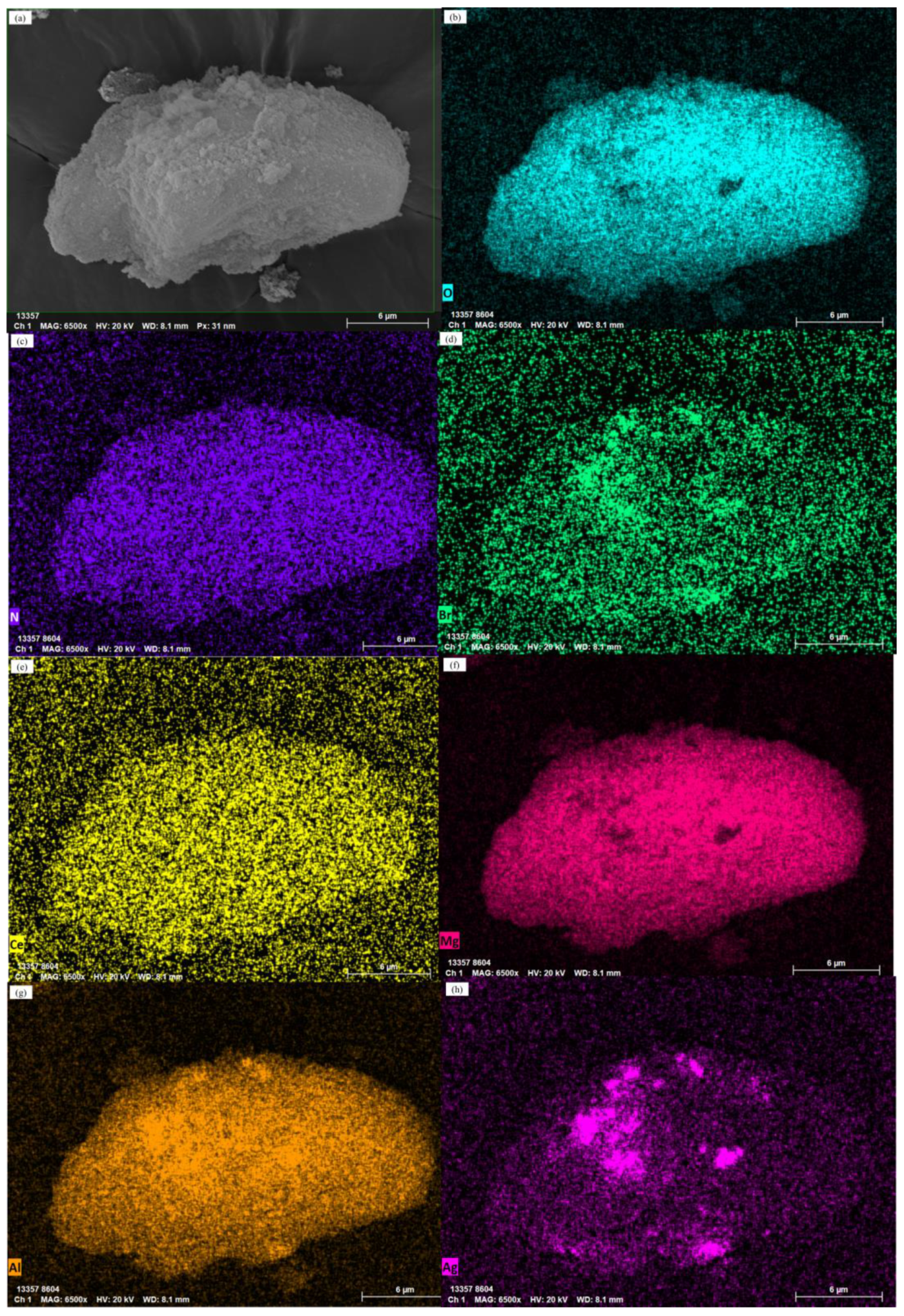 Minerals 15 00163 g005