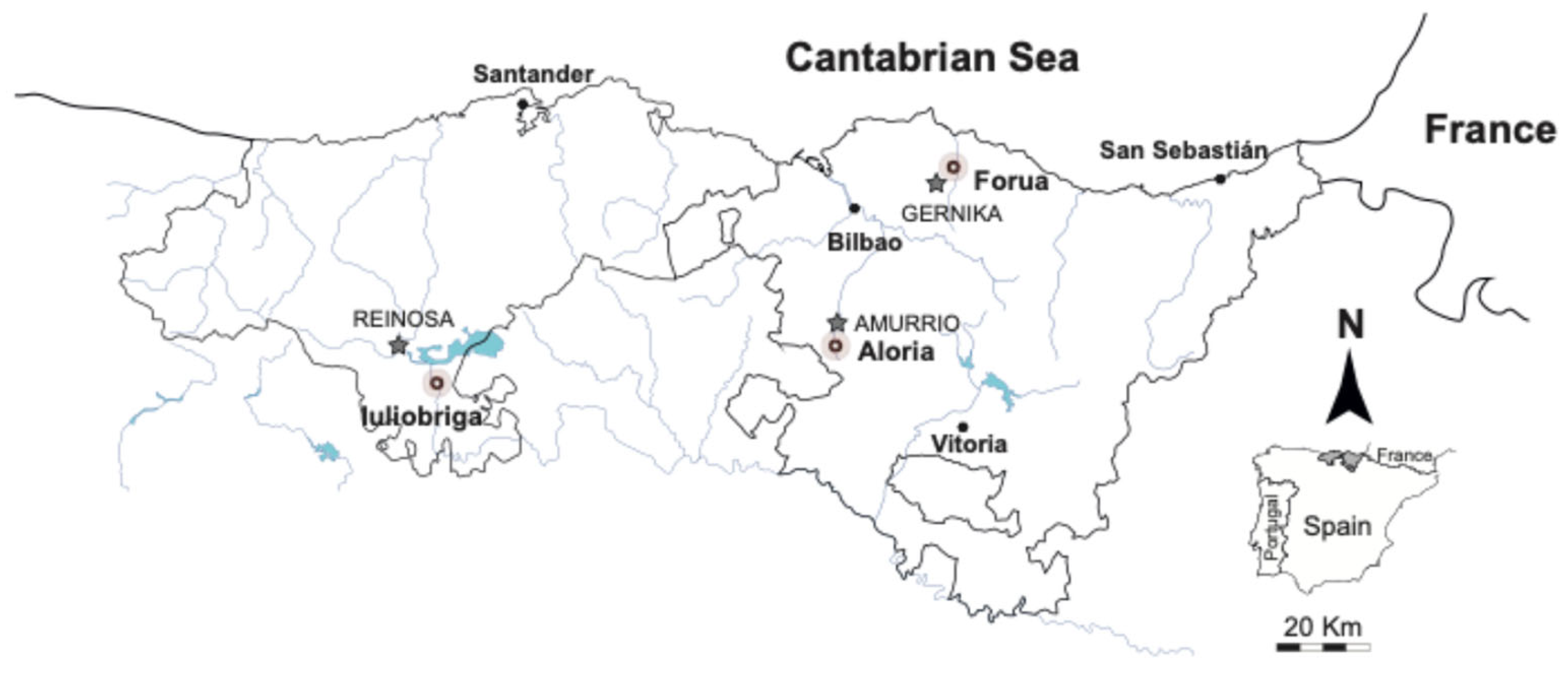 Minerals 15 00168 g001