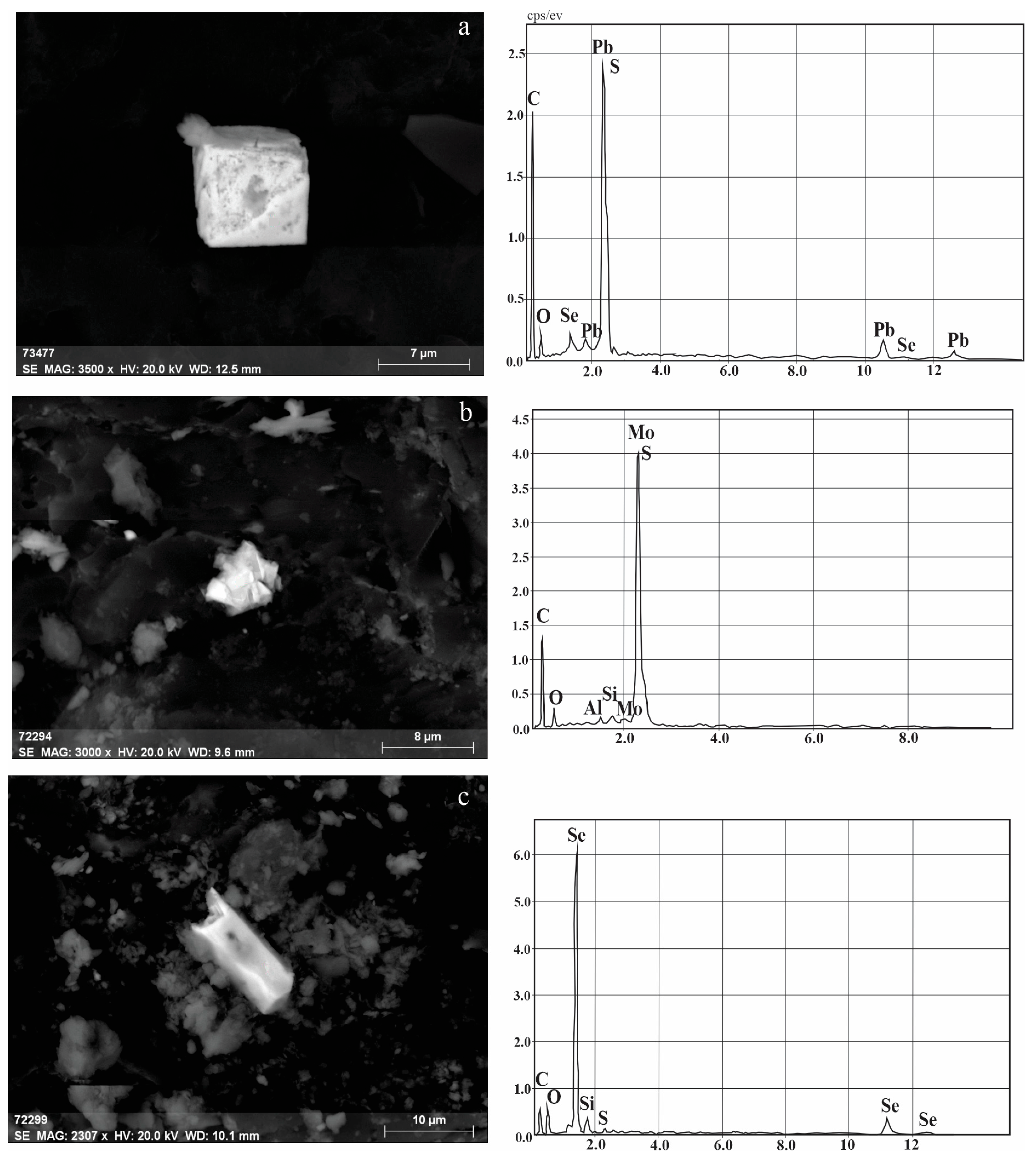 Minerals 15 00170 g012