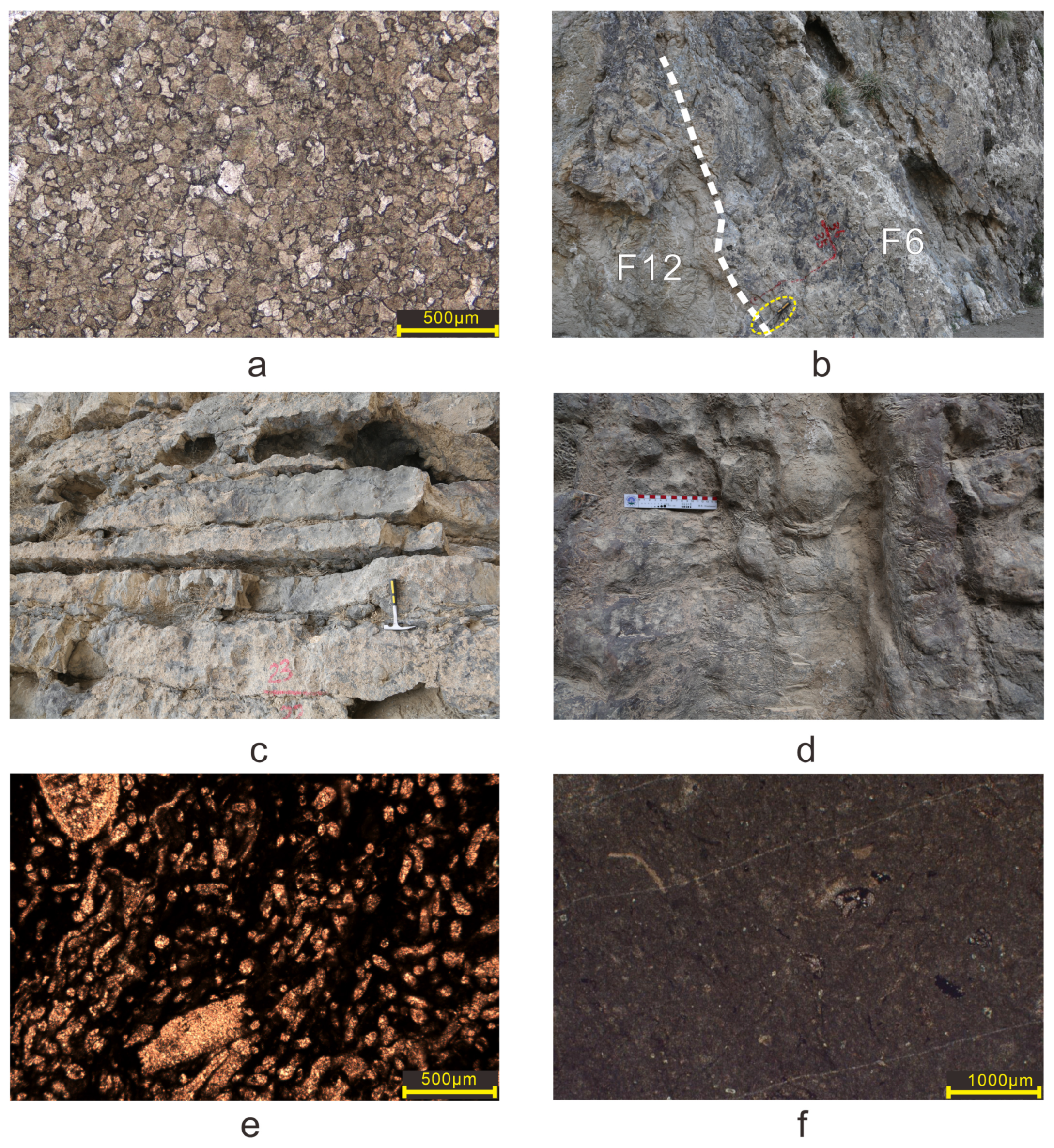 Minerals 15 00178 g003 Minerals 15 00178 g003