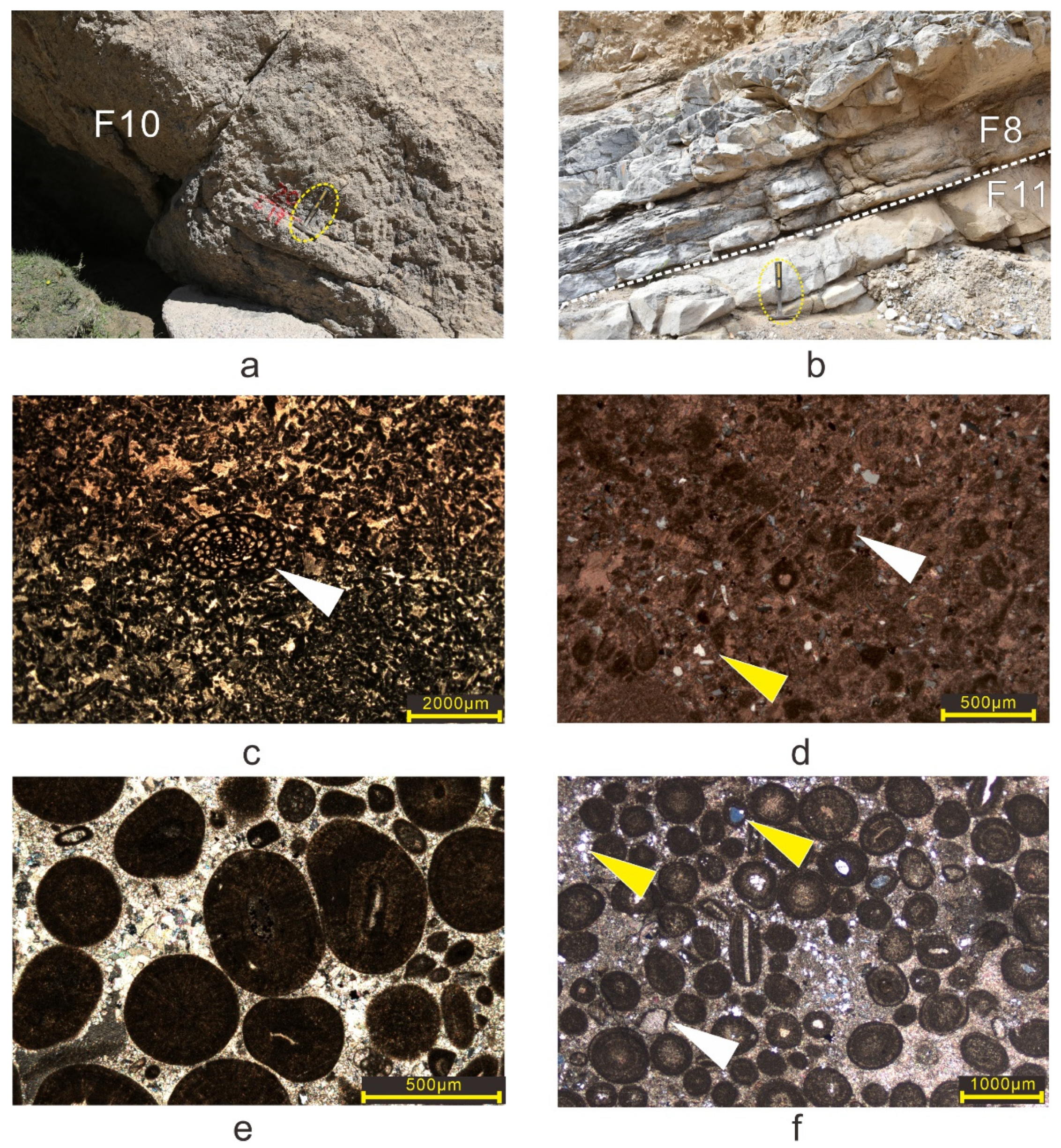 Minerals 15 00178 g004 Minerals 15 00178 g004