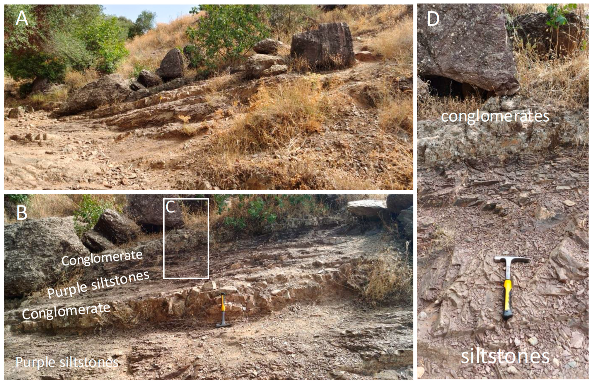 Minerals 15 00203 g005