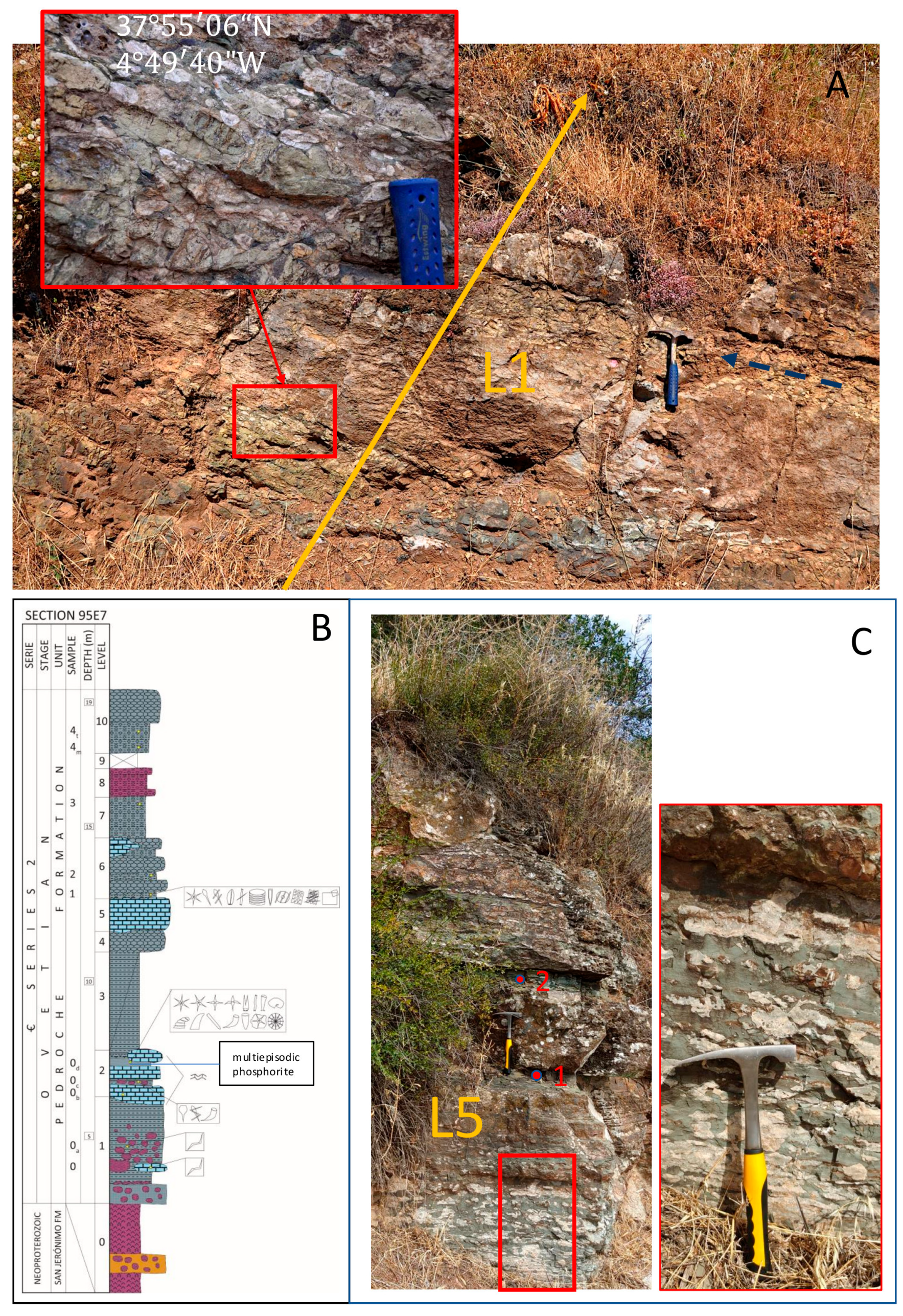 Minerals 15 00203 g006