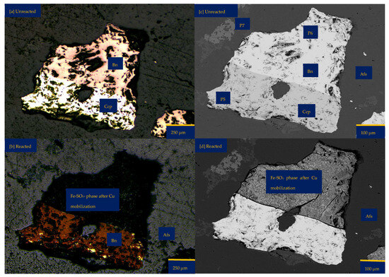 Minerals 15 00214 g003a