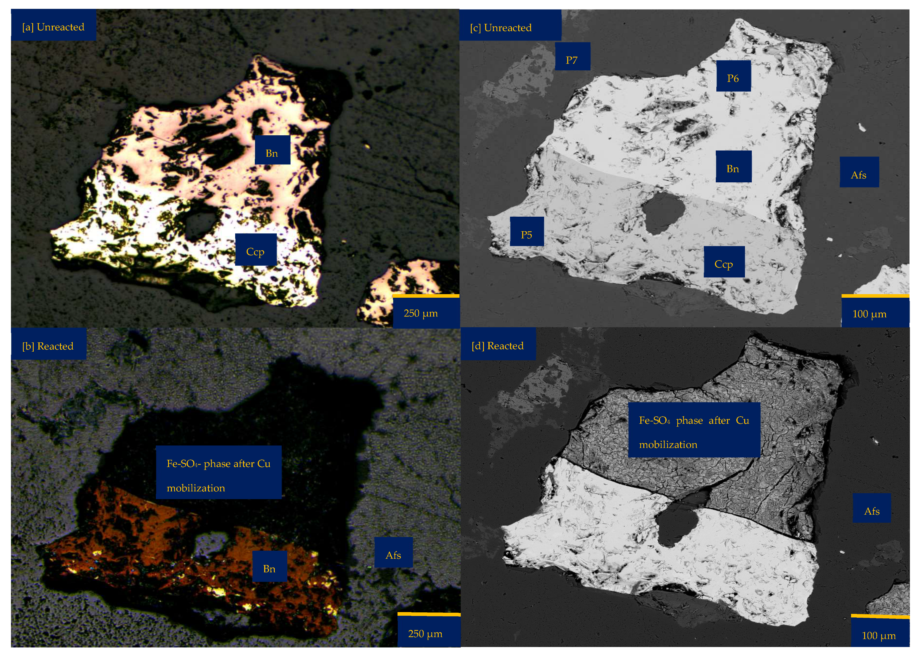 Minerals 15 00214 g003a
