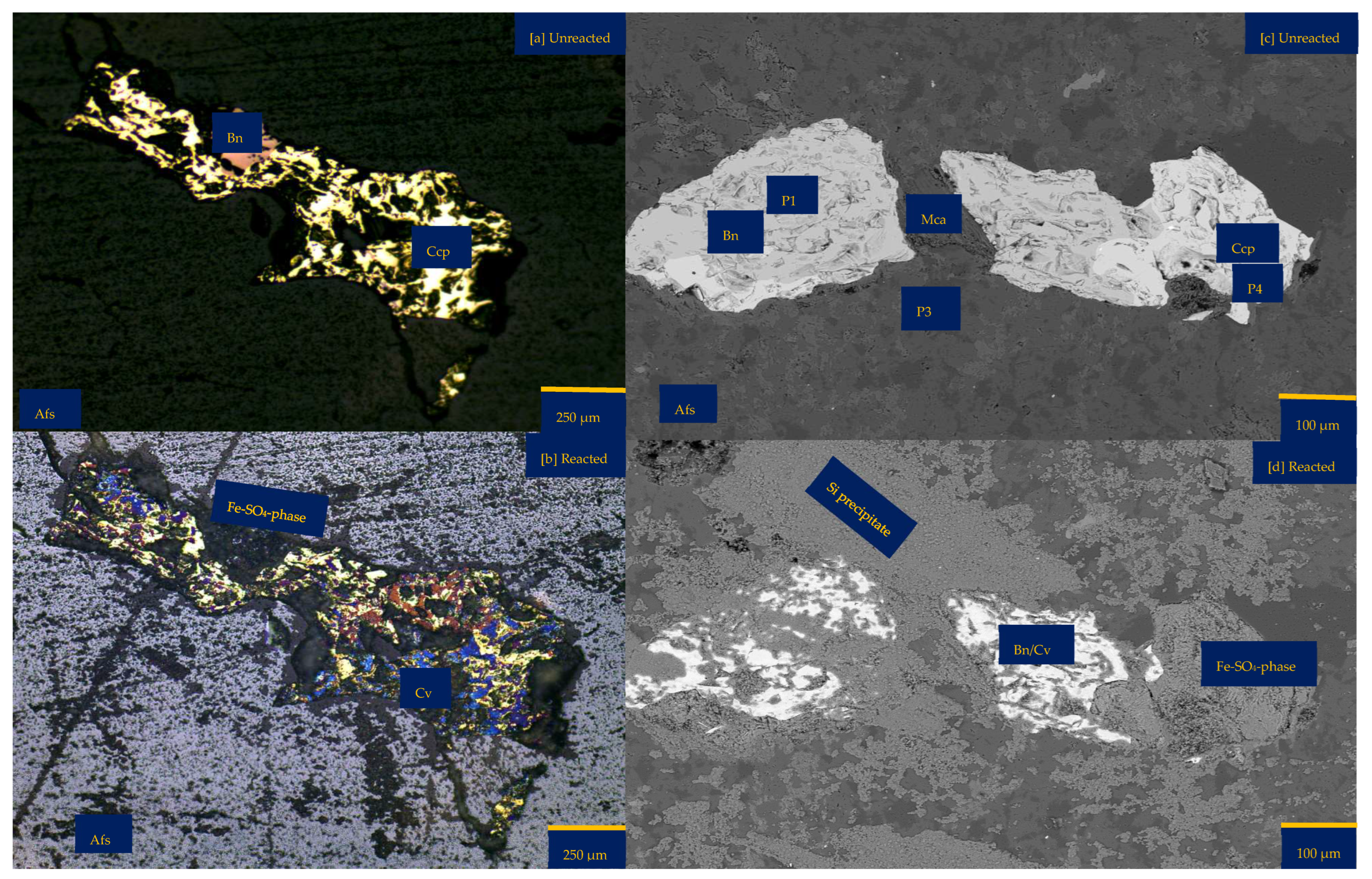 Minerals 15 00214 g005a