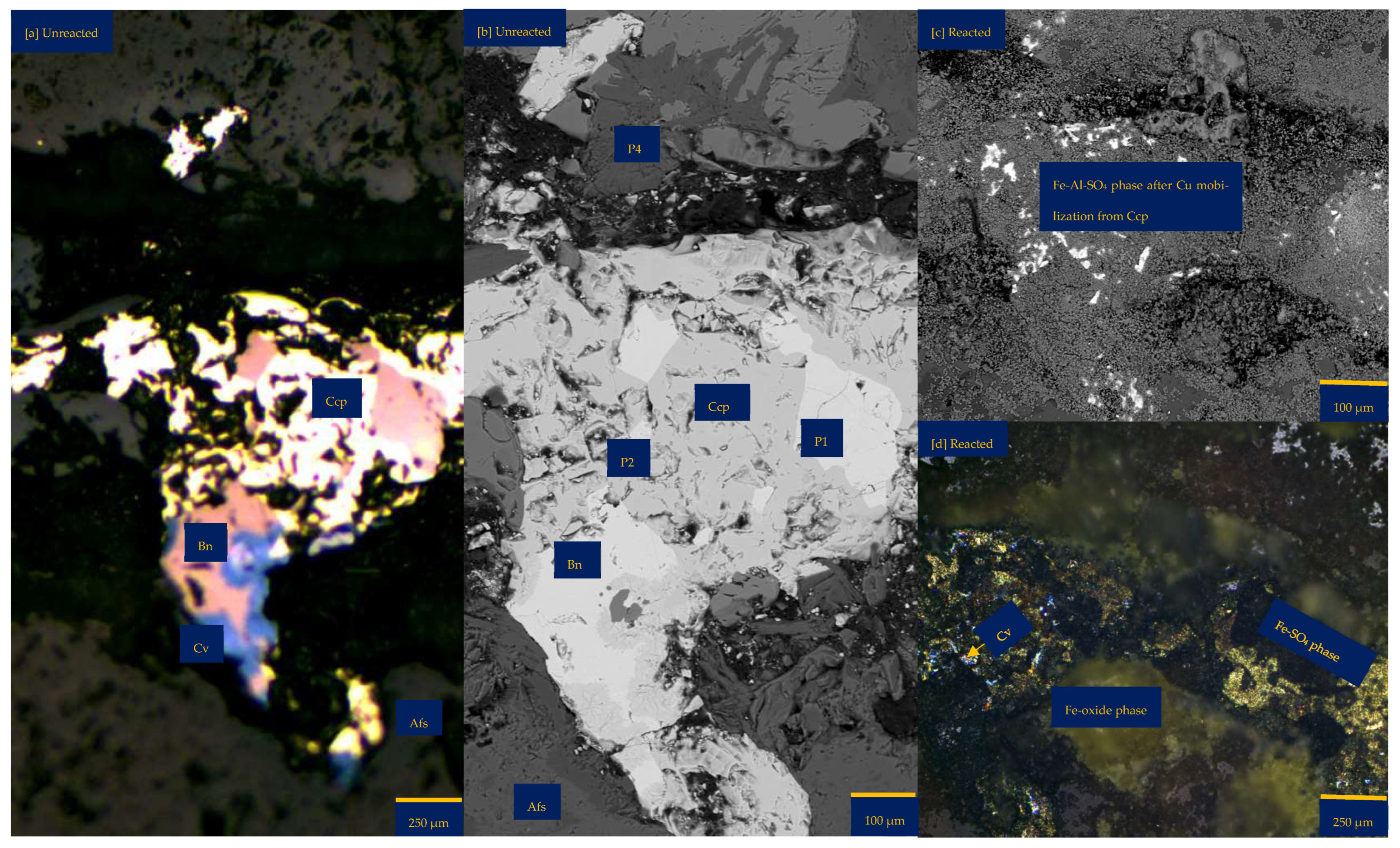 Minerals 15 00214 g006a