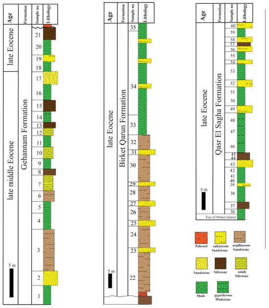 Minerals 15 00227 g002