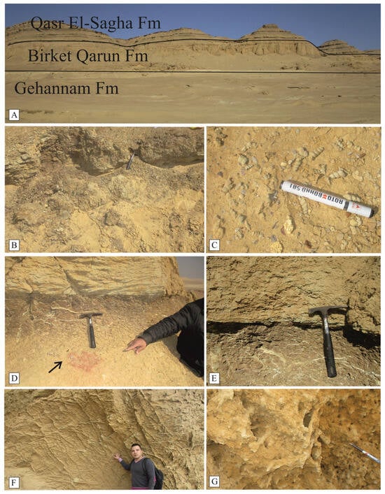 Minerals 15 00227 g003