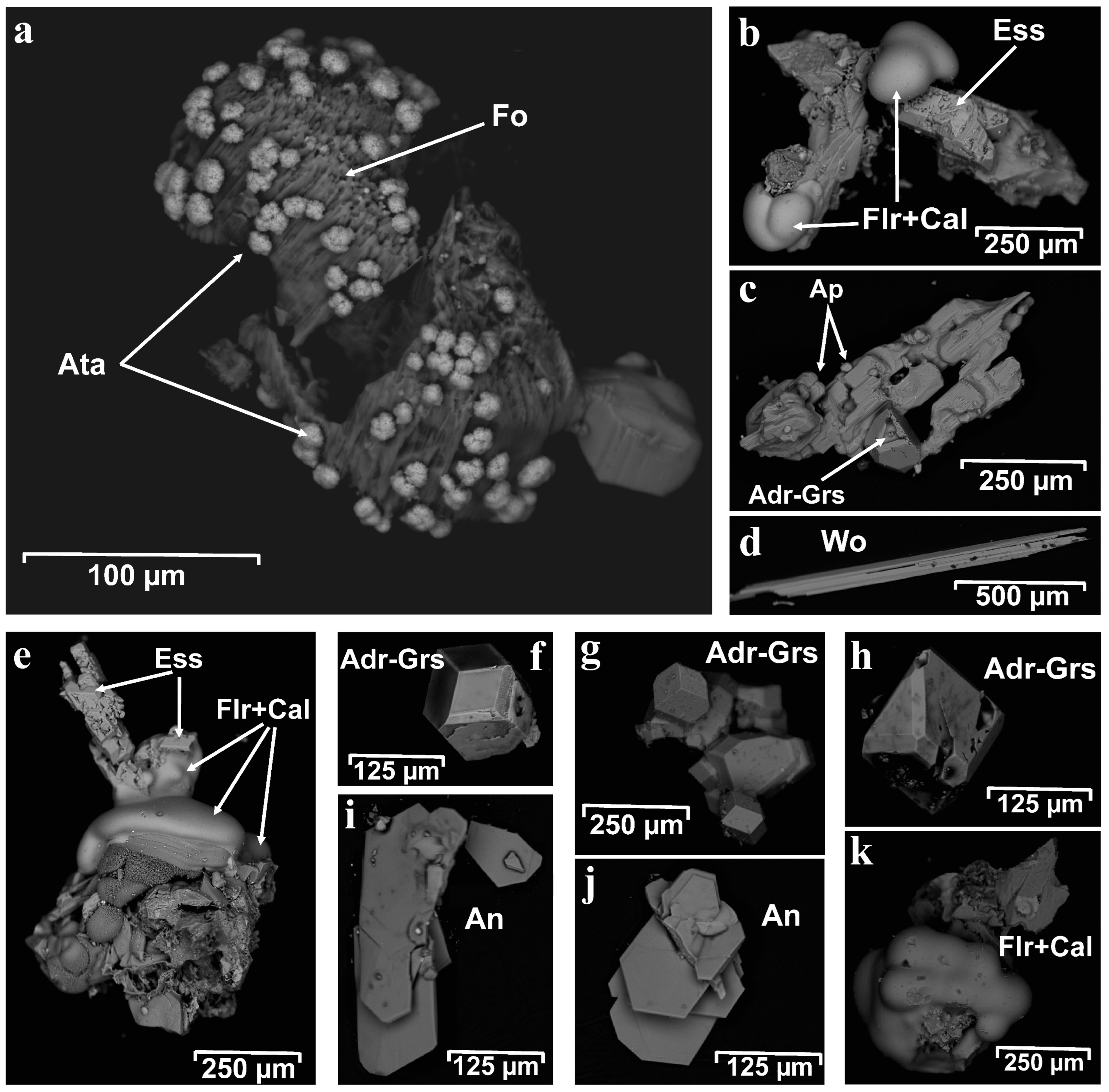 Minerals 15 00237 g007