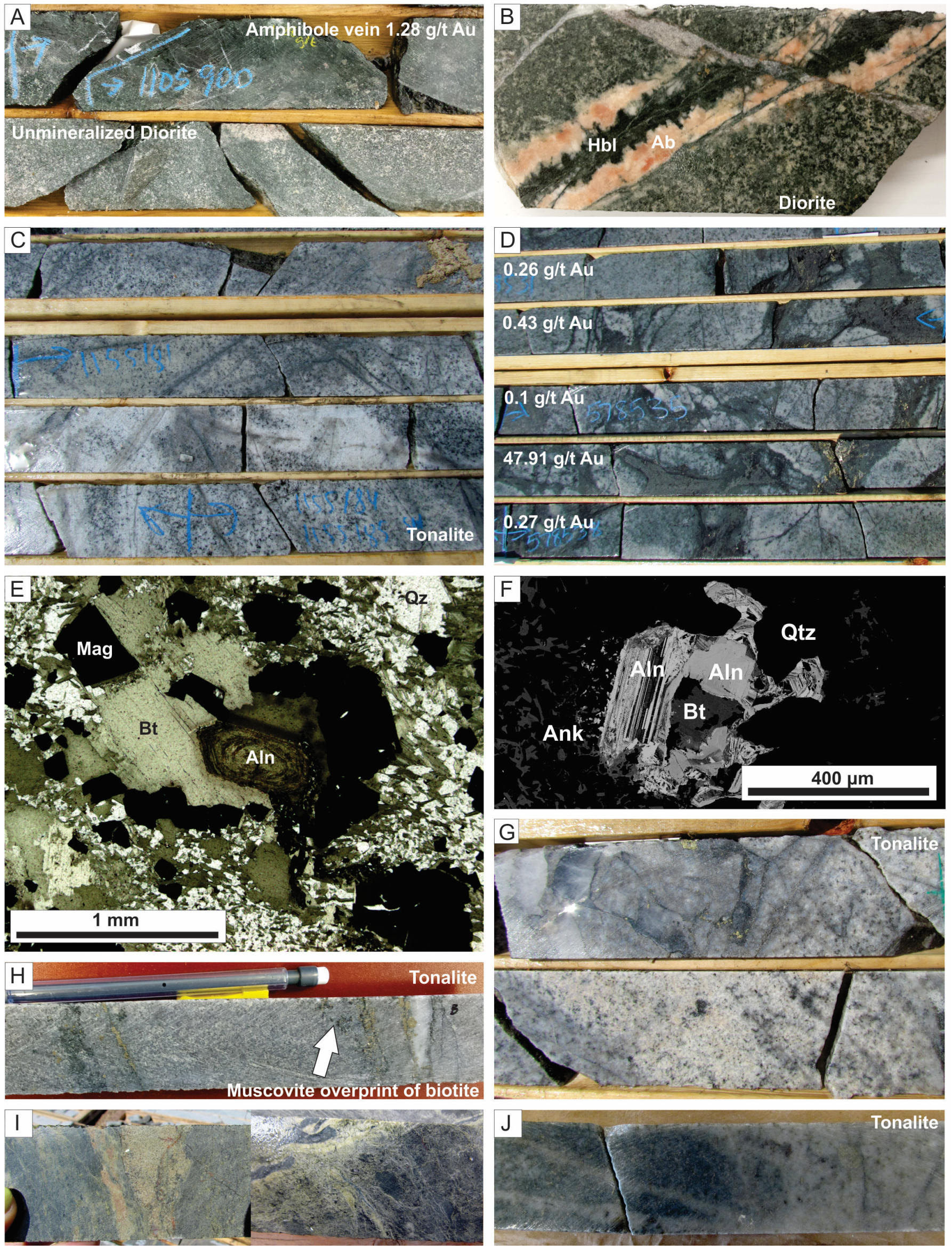 Minerals 15 00256 g005a