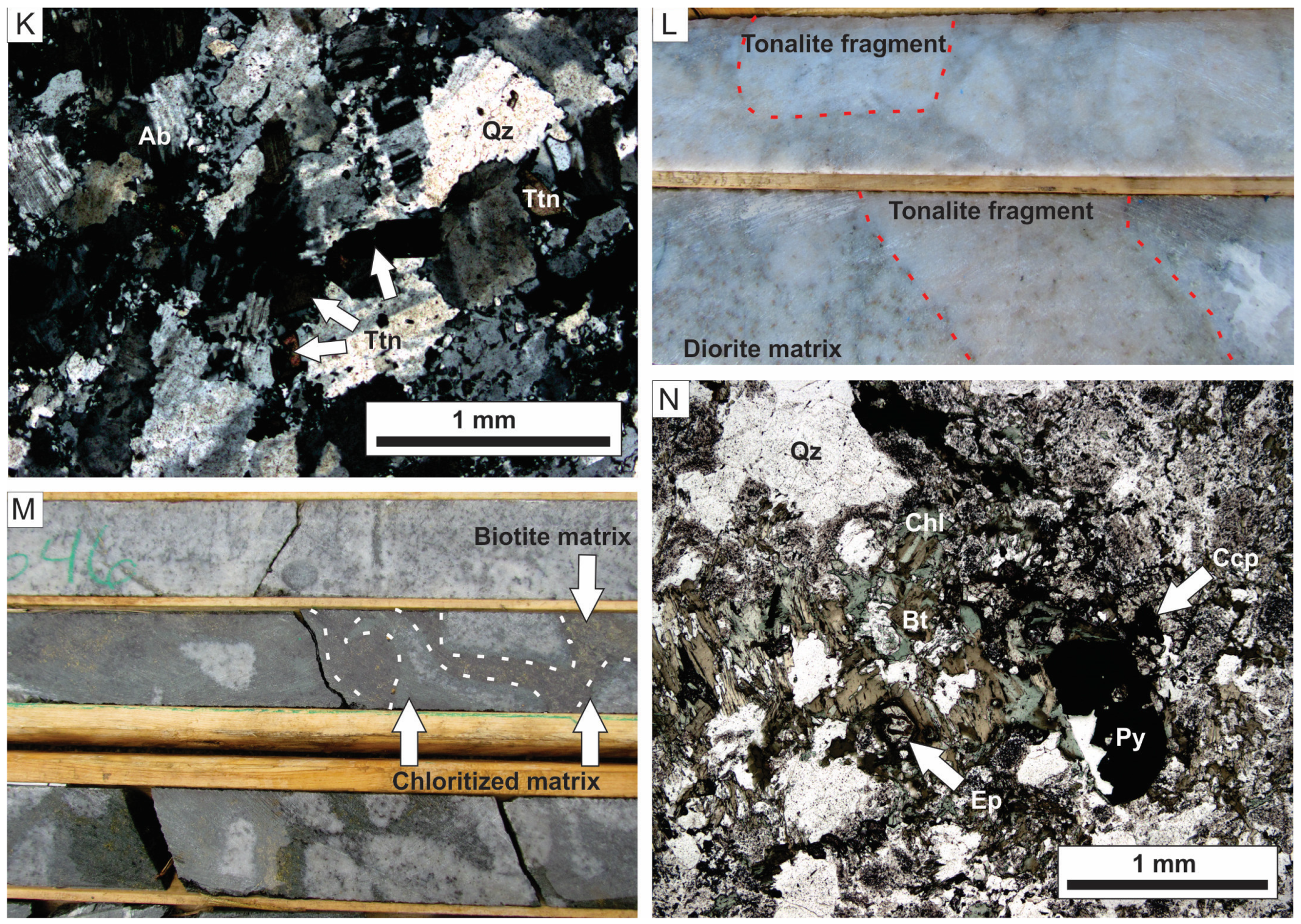 Minerals 15 00256 g005b