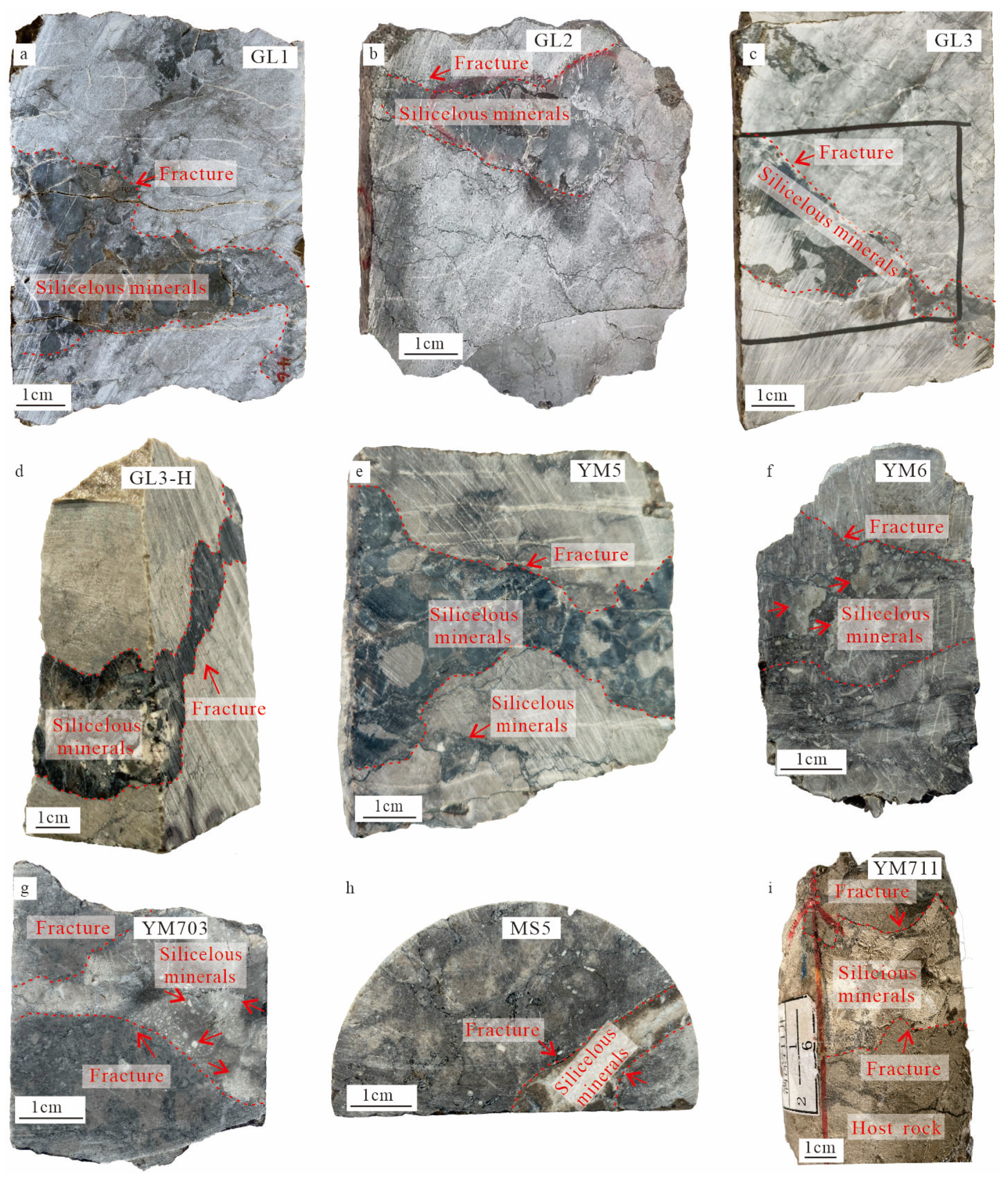 Minerals 15 00270 g002 Minerals 15 00270 g002