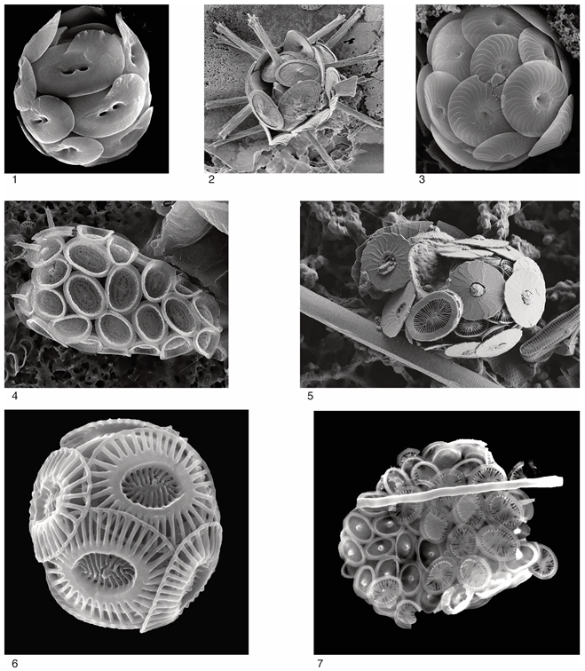 Minerals 15 00322 i001