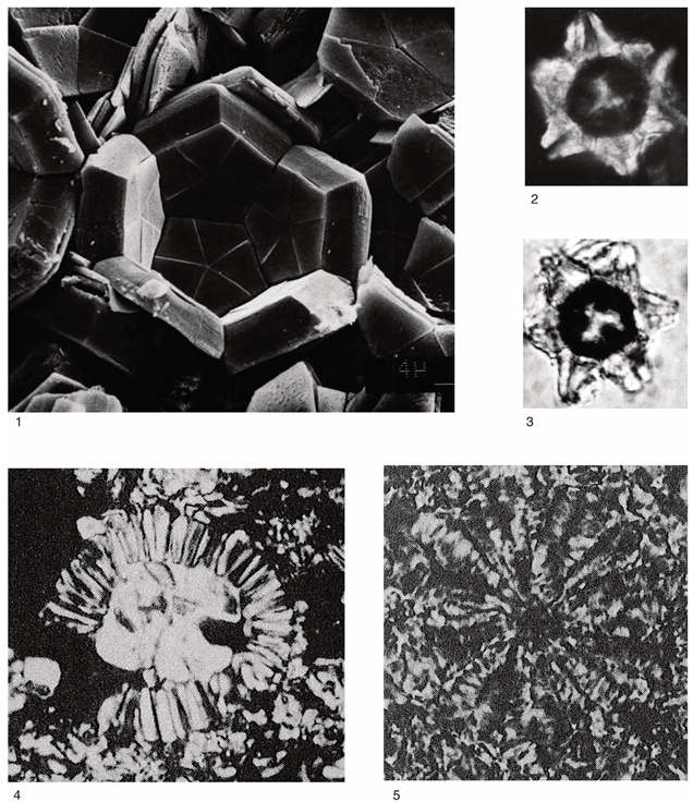 Minerals 15 00322 i002