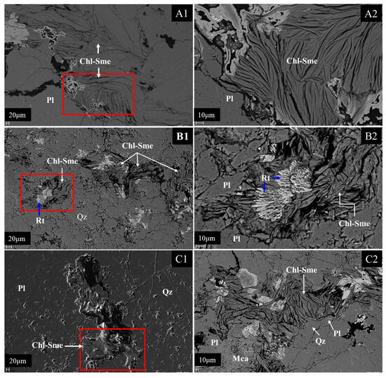 Minerals 15 00326 g005