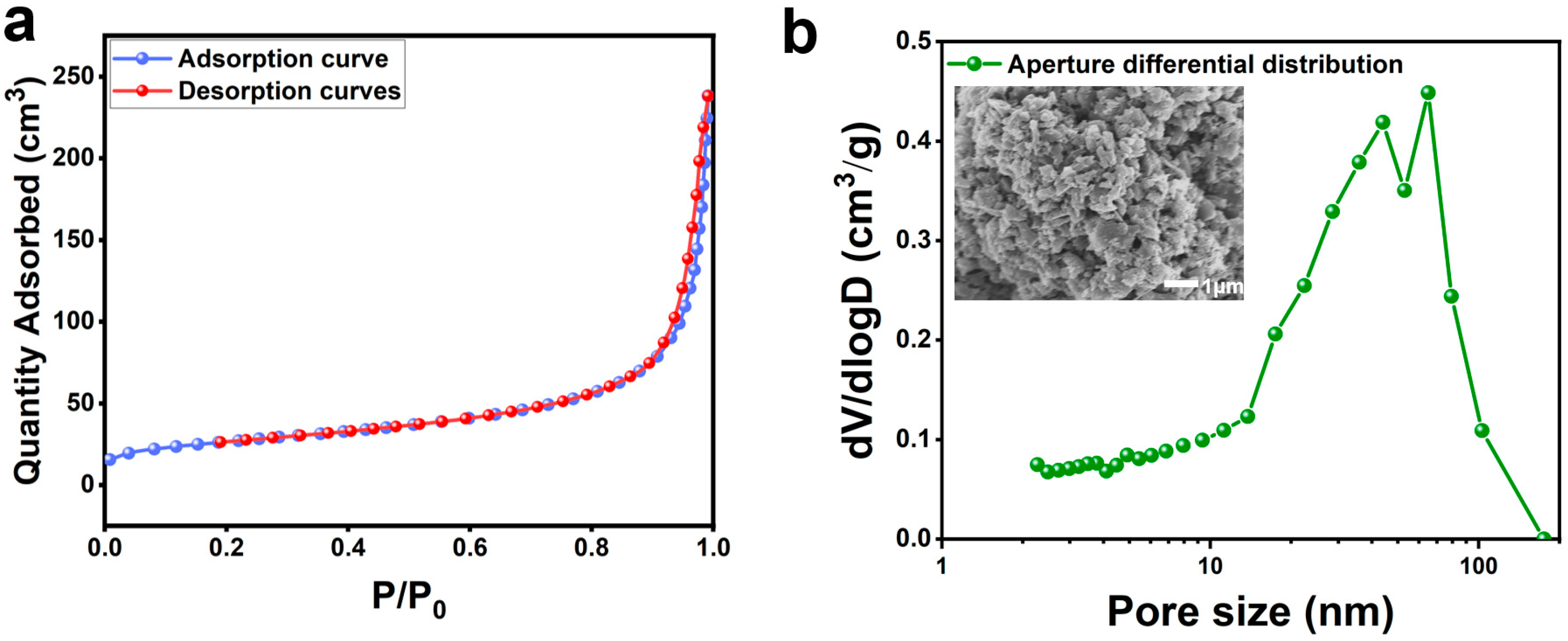 Minerals 15 00329 g010