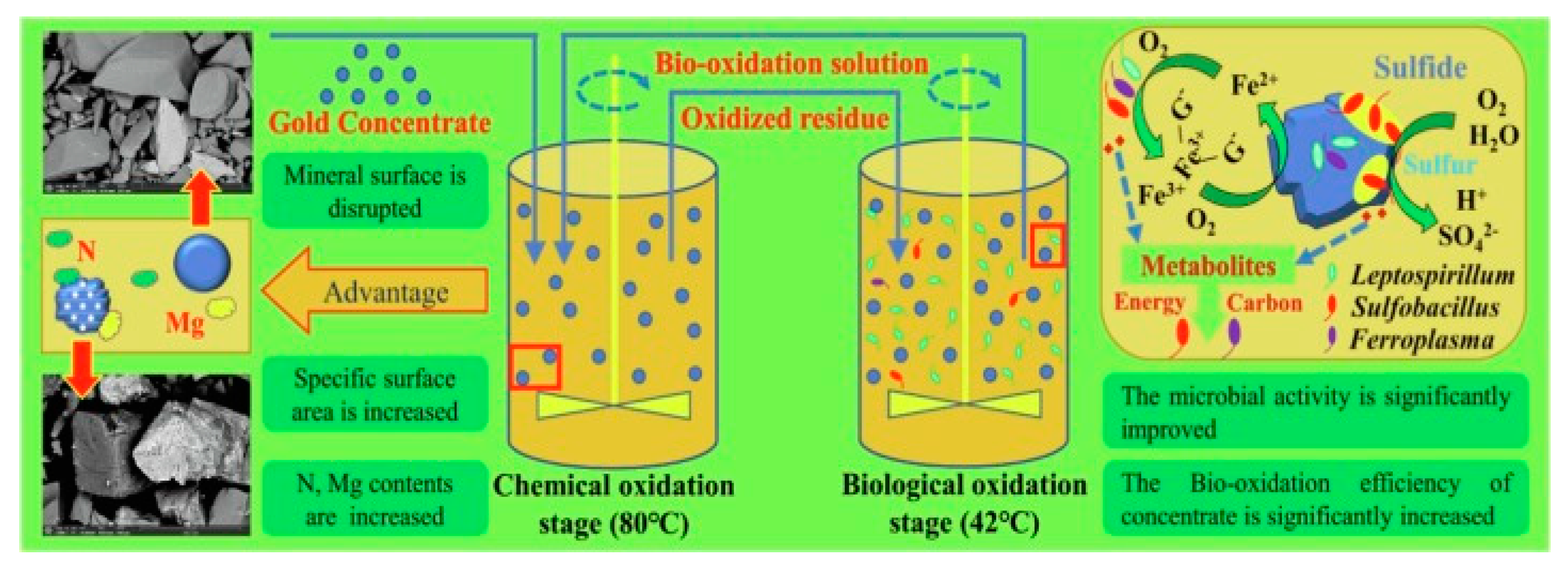 Minerals 15 00340 g004