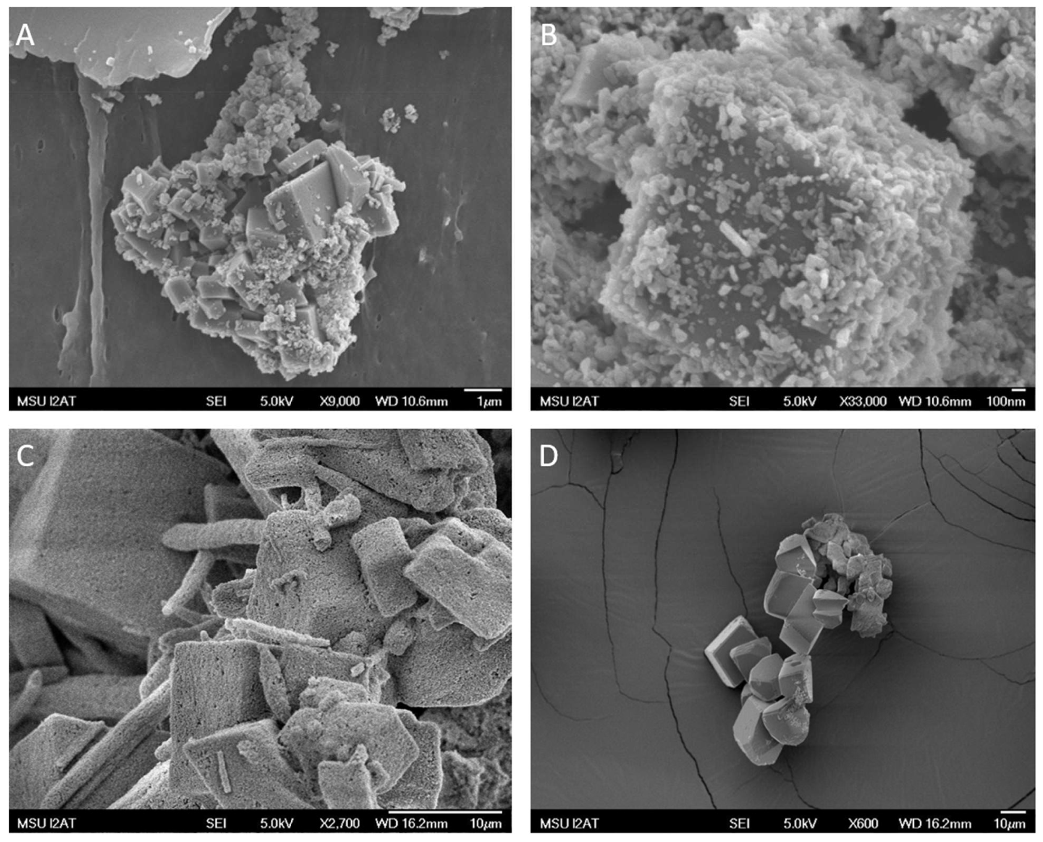 Minerals 15 00361 g005