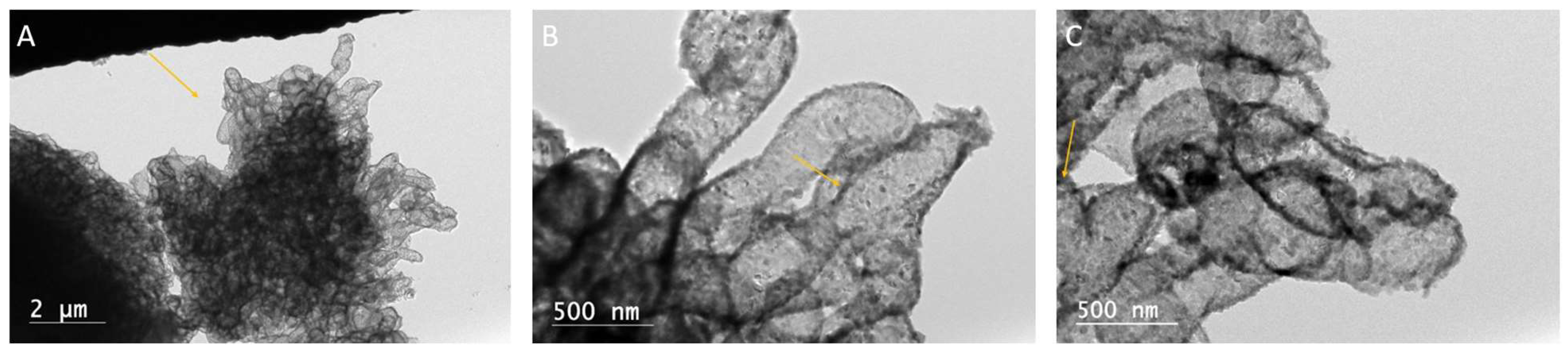 Minerals 15 00361 g007