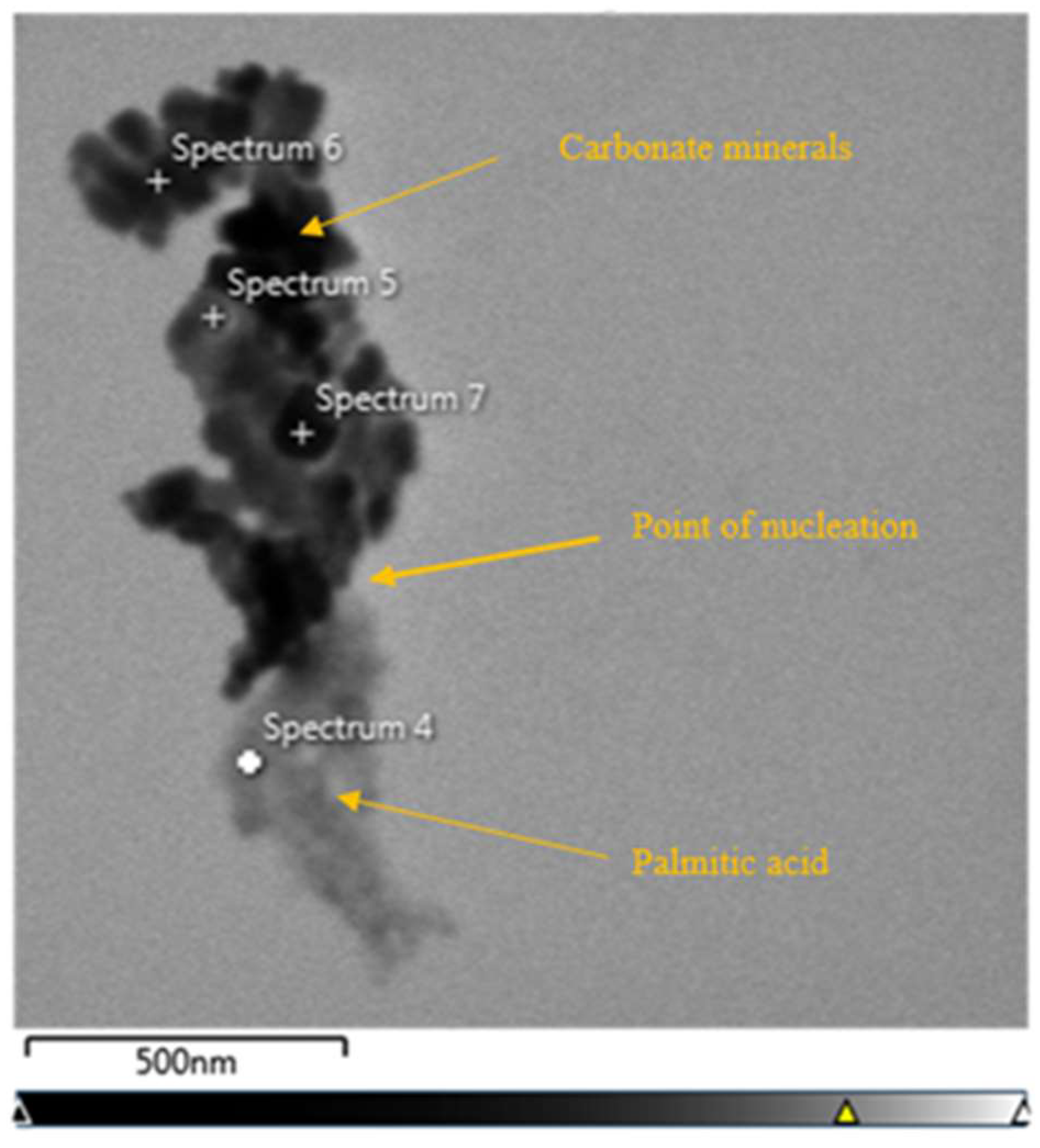 Minerals 15 00361 g009