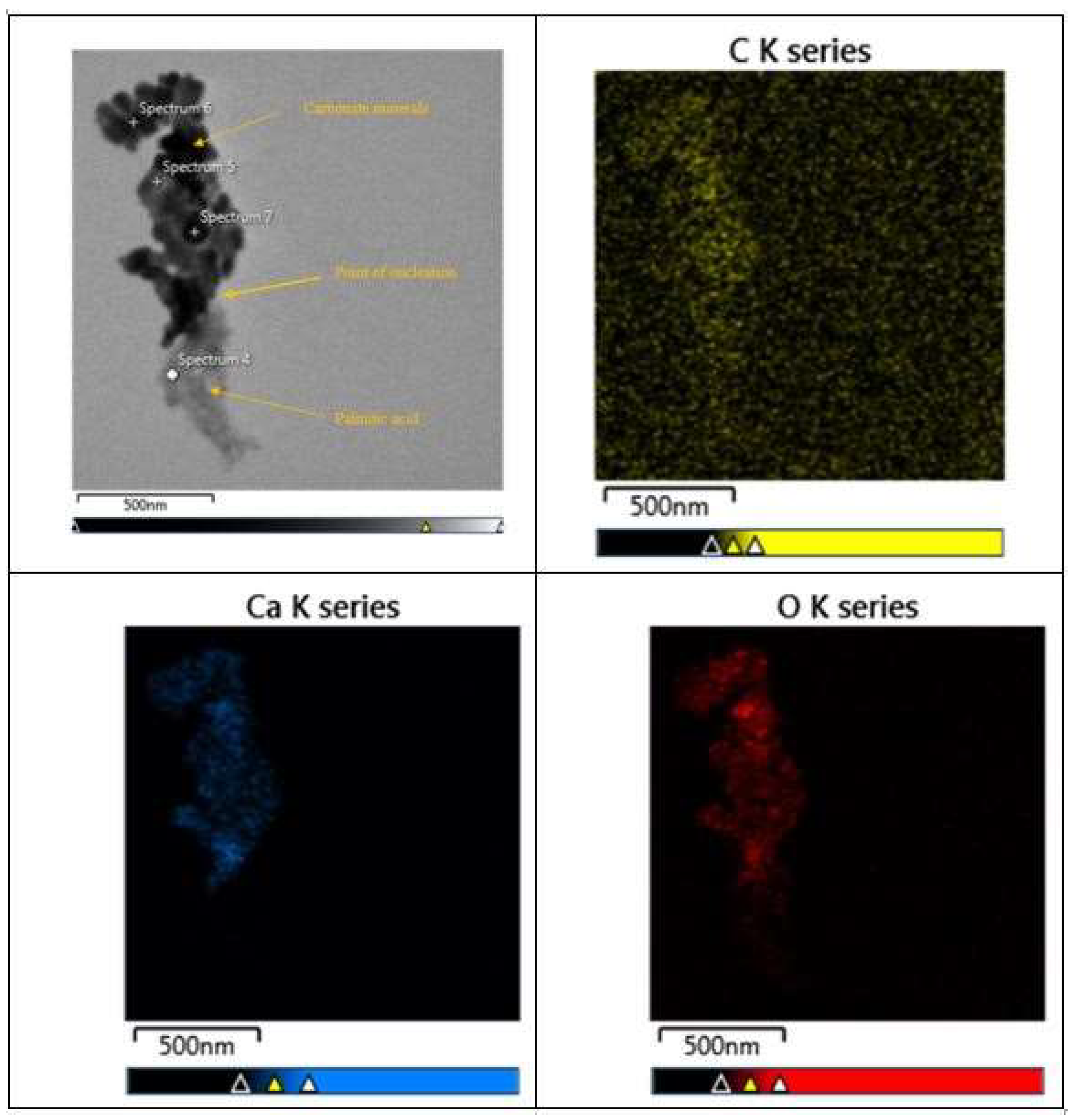 Minerals 15 00361 g011