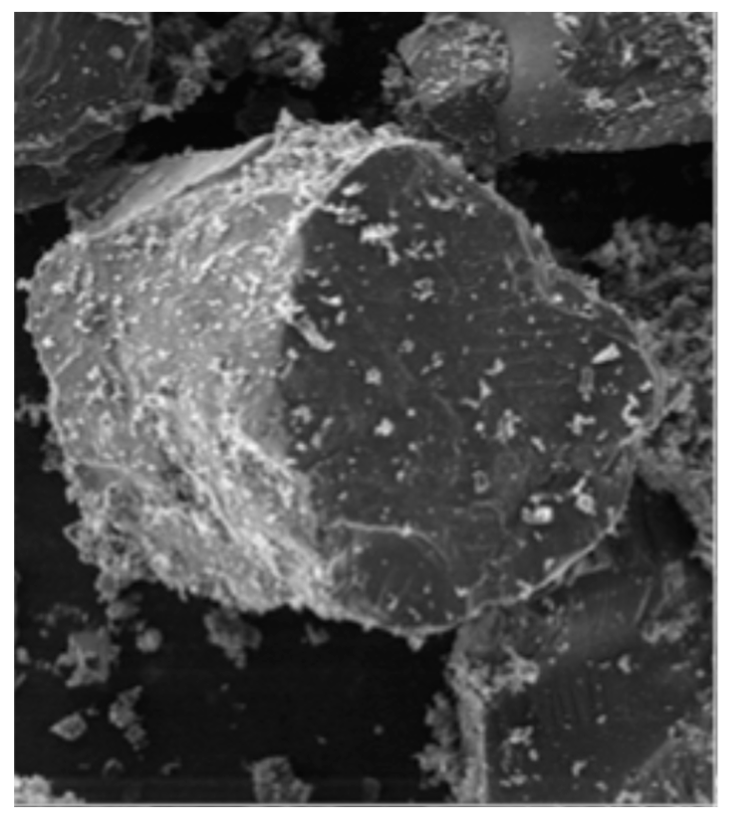 Minerals 15 00403 g007