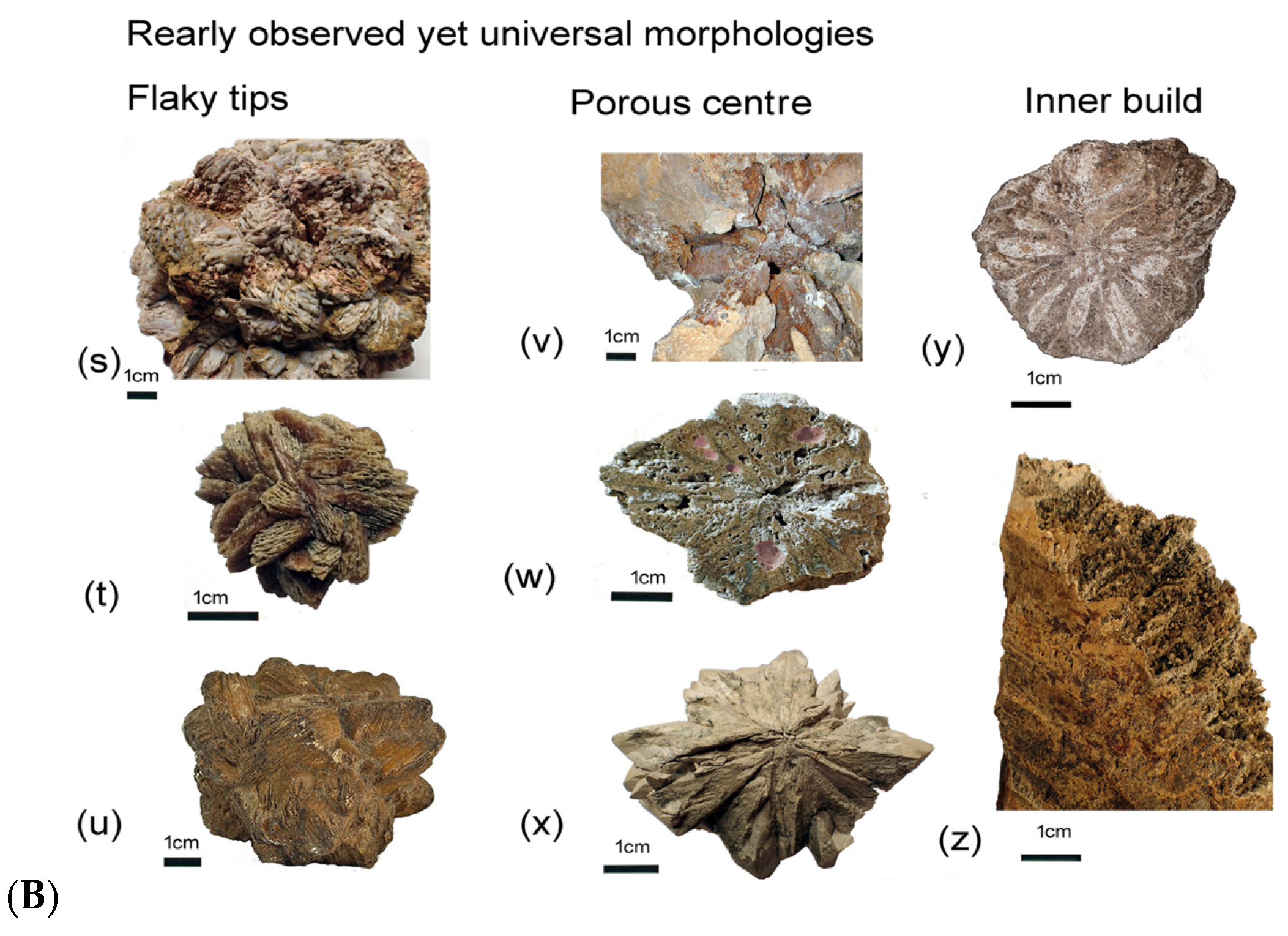 Minerals 15 00410 g004b