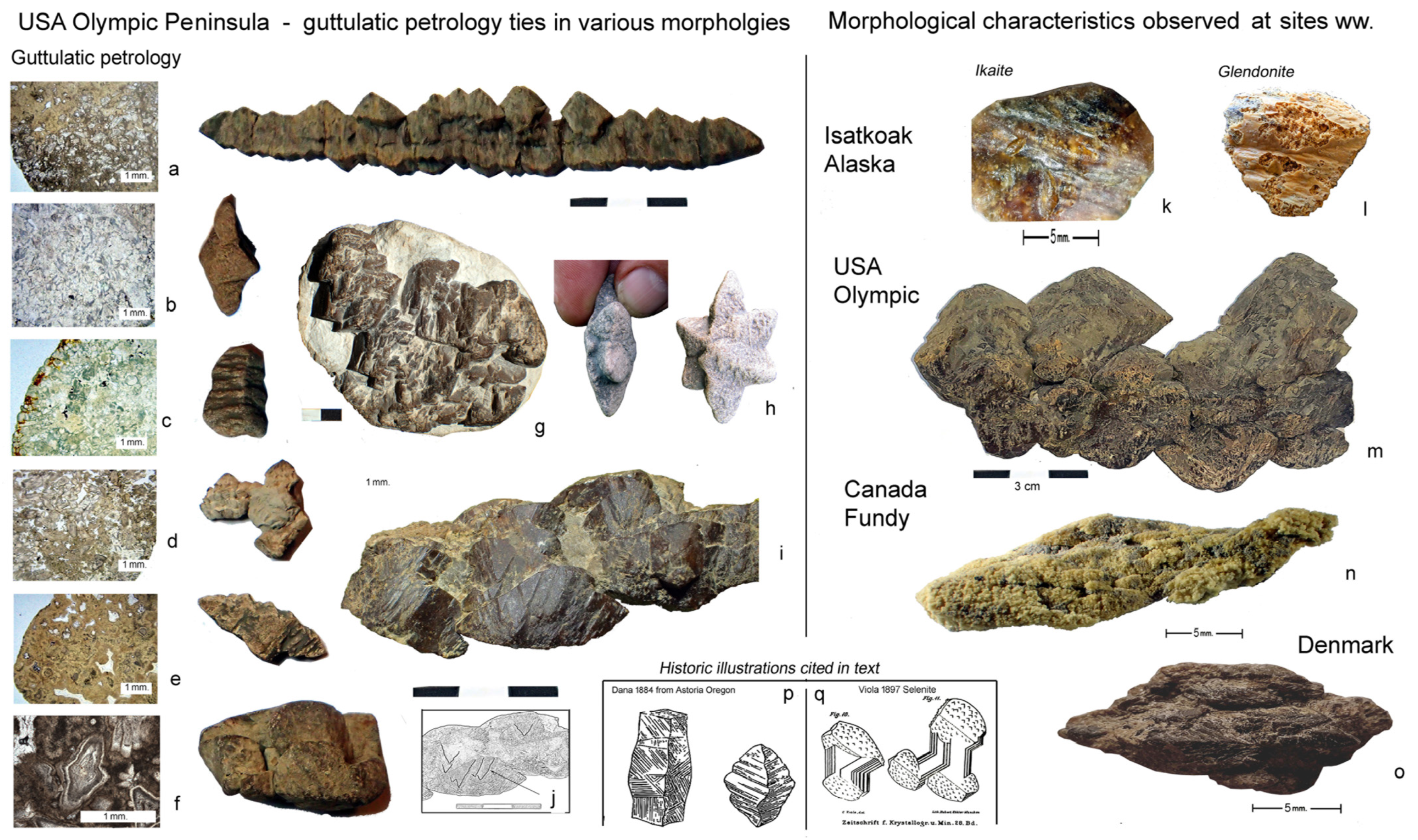 Minerals 15 00410 g005