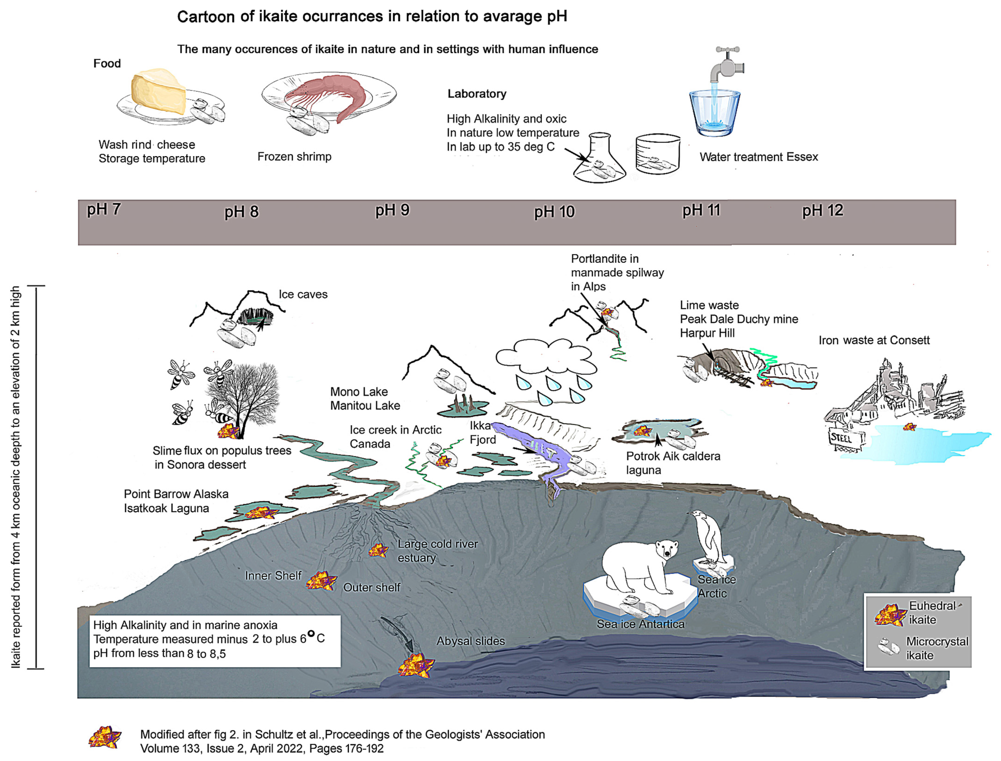 Minerals 15 00410 g008