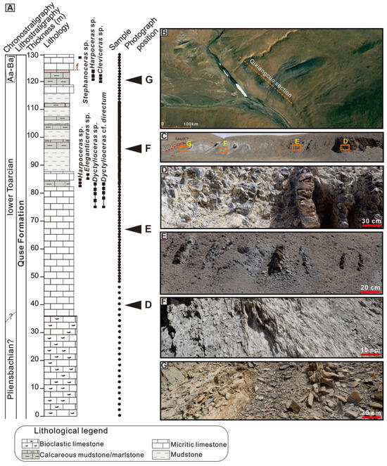 Minerals 15 00440 g002