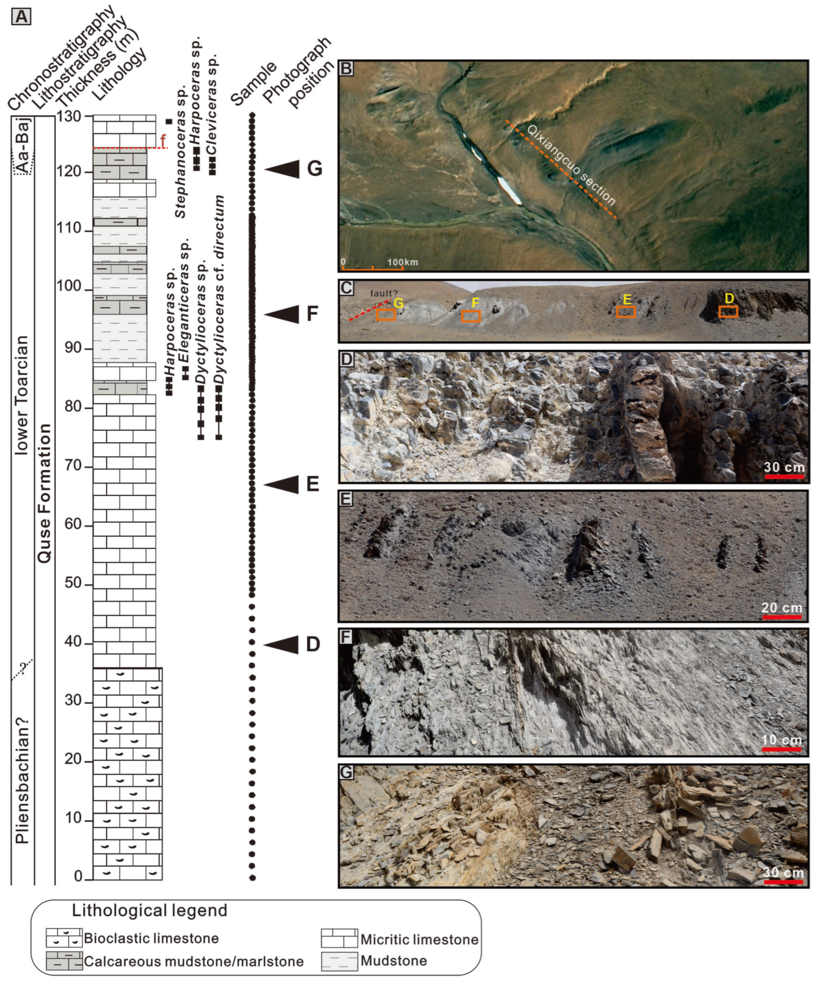Minerals 15 00440 g002
