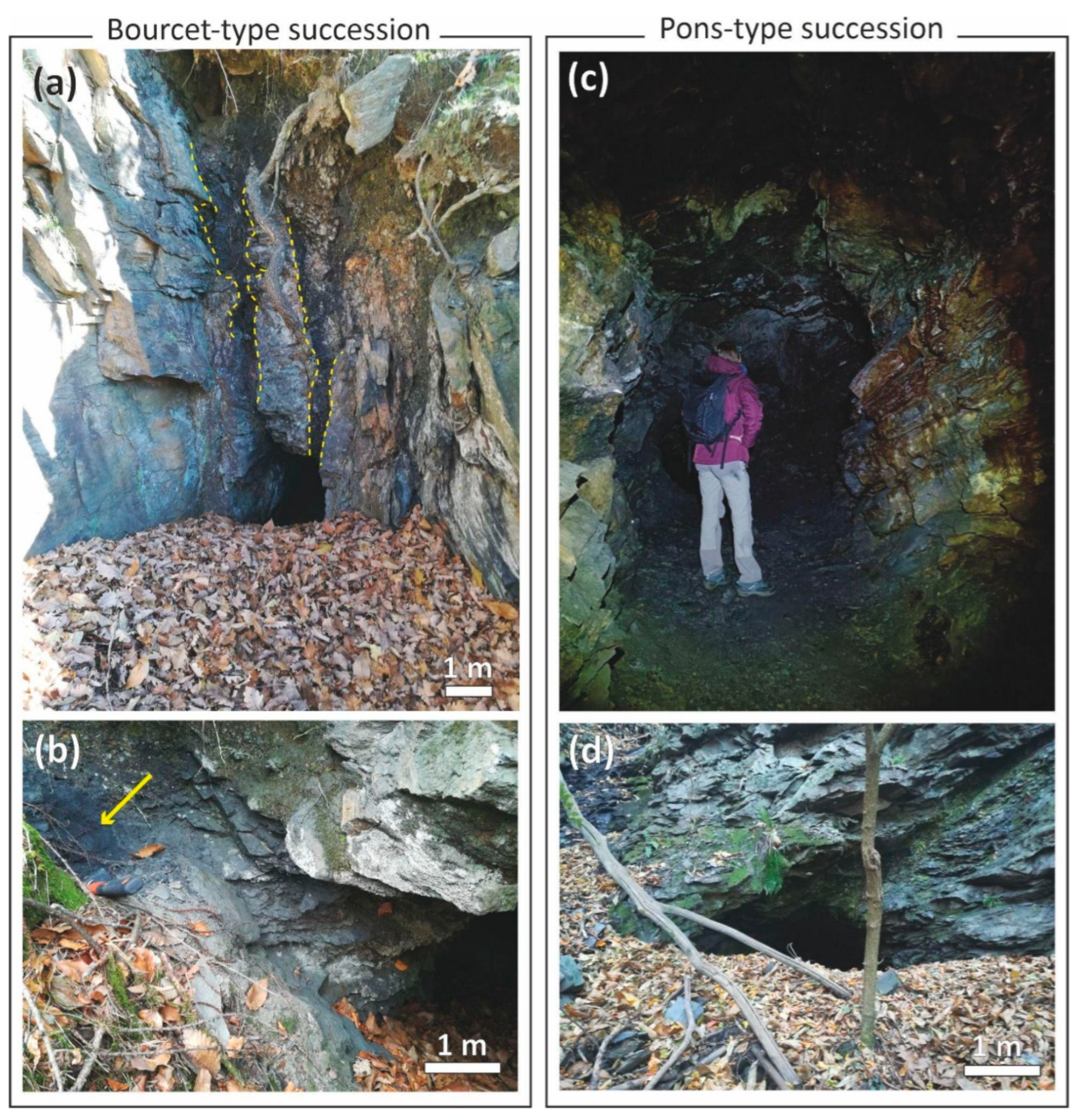 Minerals 15 00455 g002