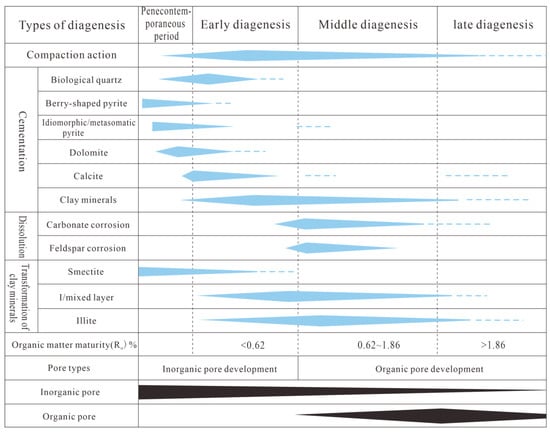 Minerals 15 00499 g011