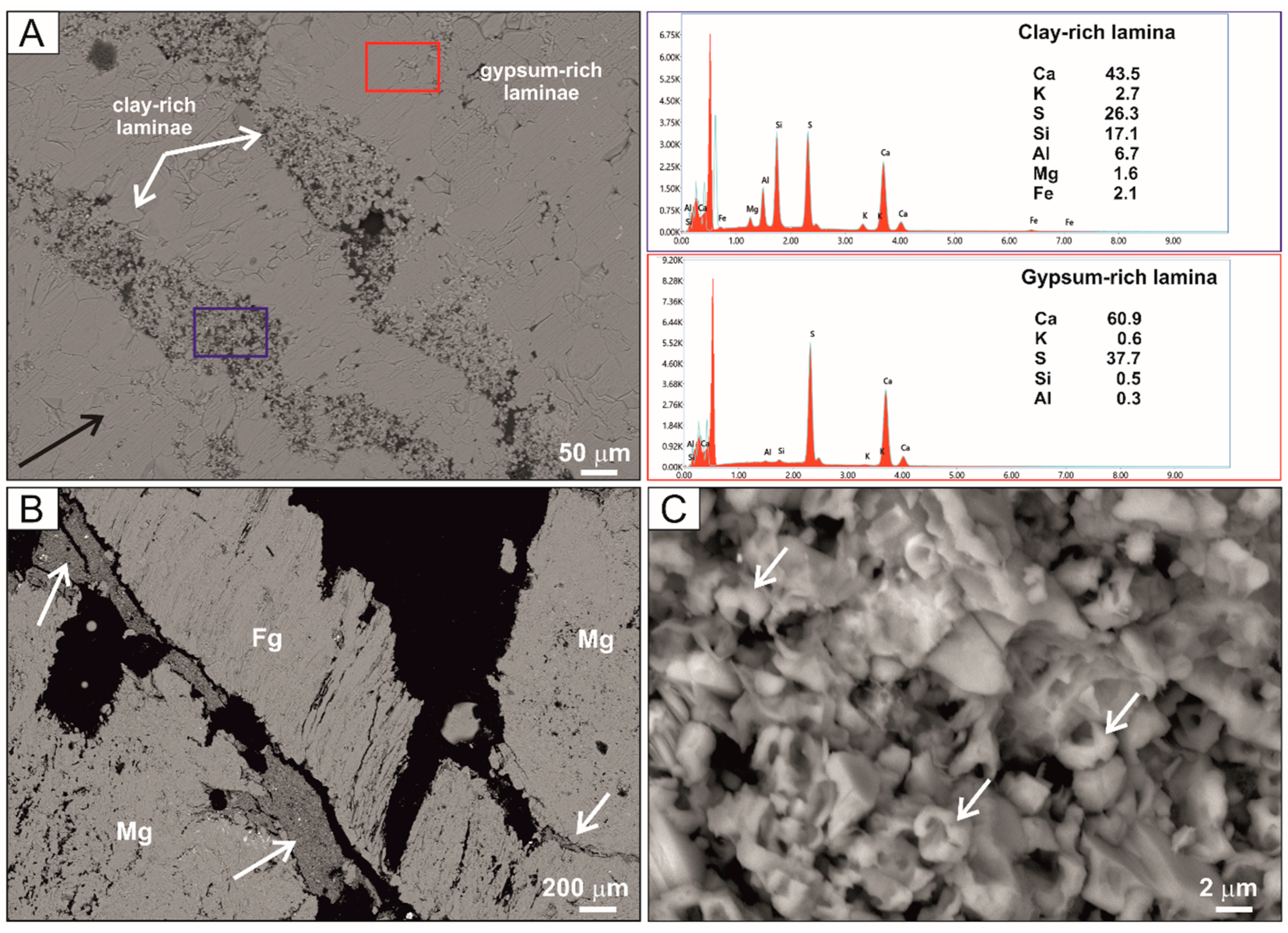 Minerals 15 00542 g006