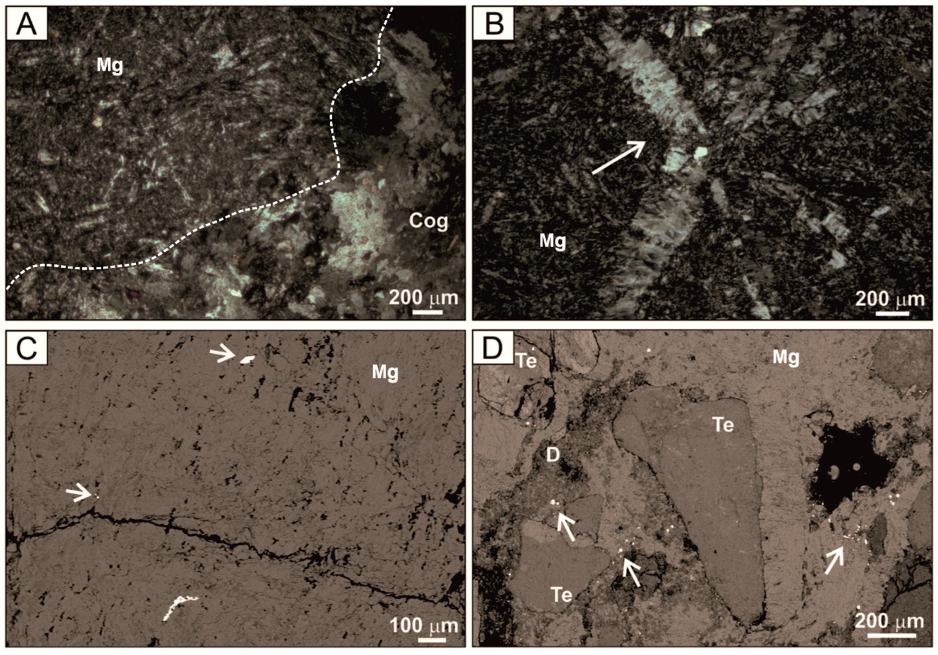 Minerals 15 00542 g009