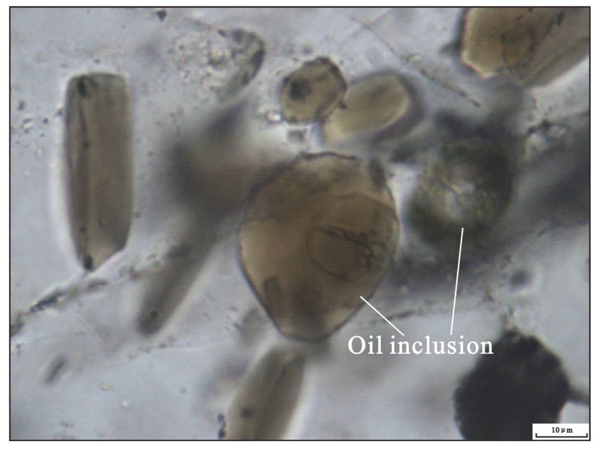 Minerals 15 00575 g014